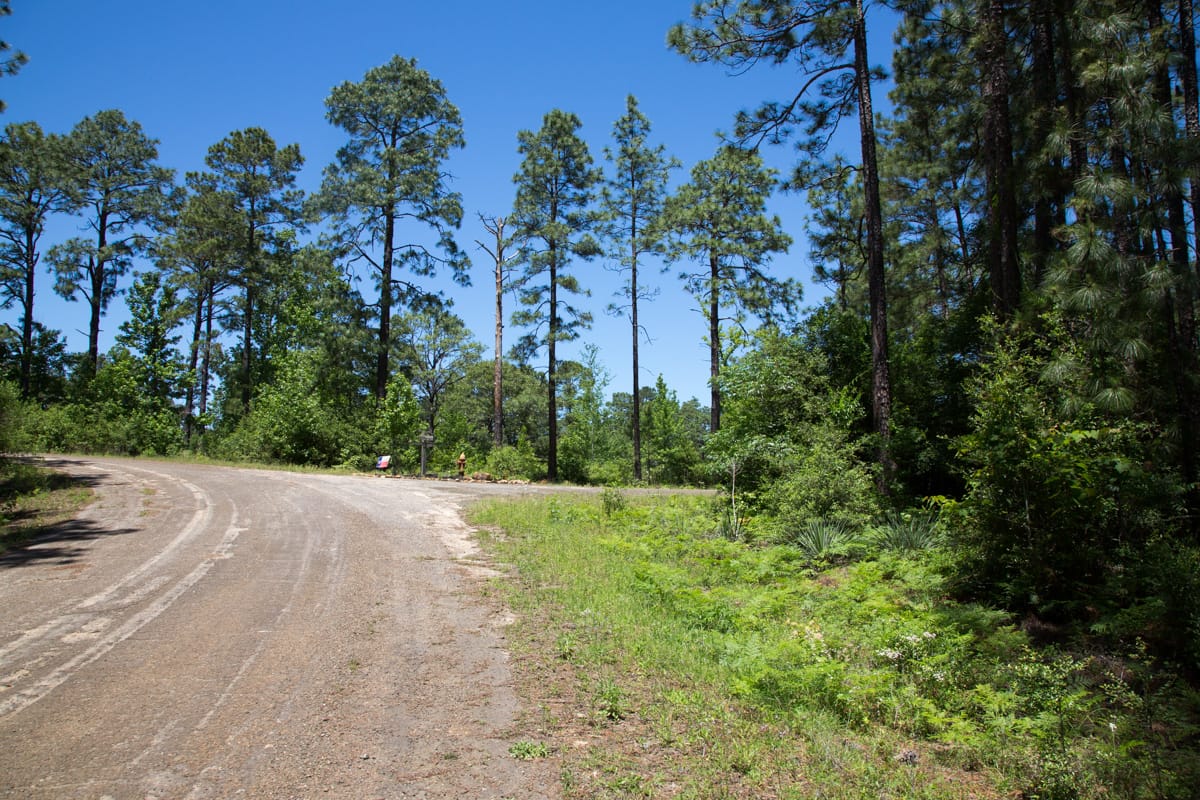 Rayburn Country Tract 31 photo 3