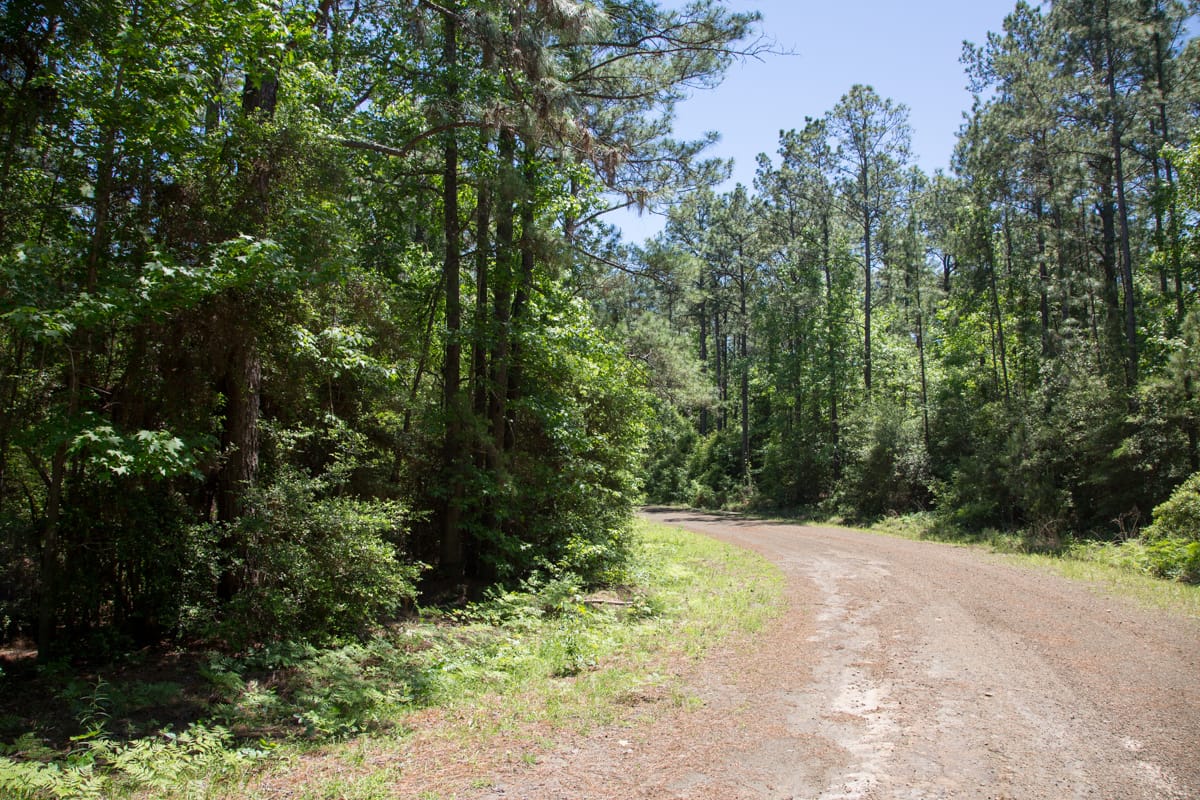 Rayburn Country Tract 31 photo 8