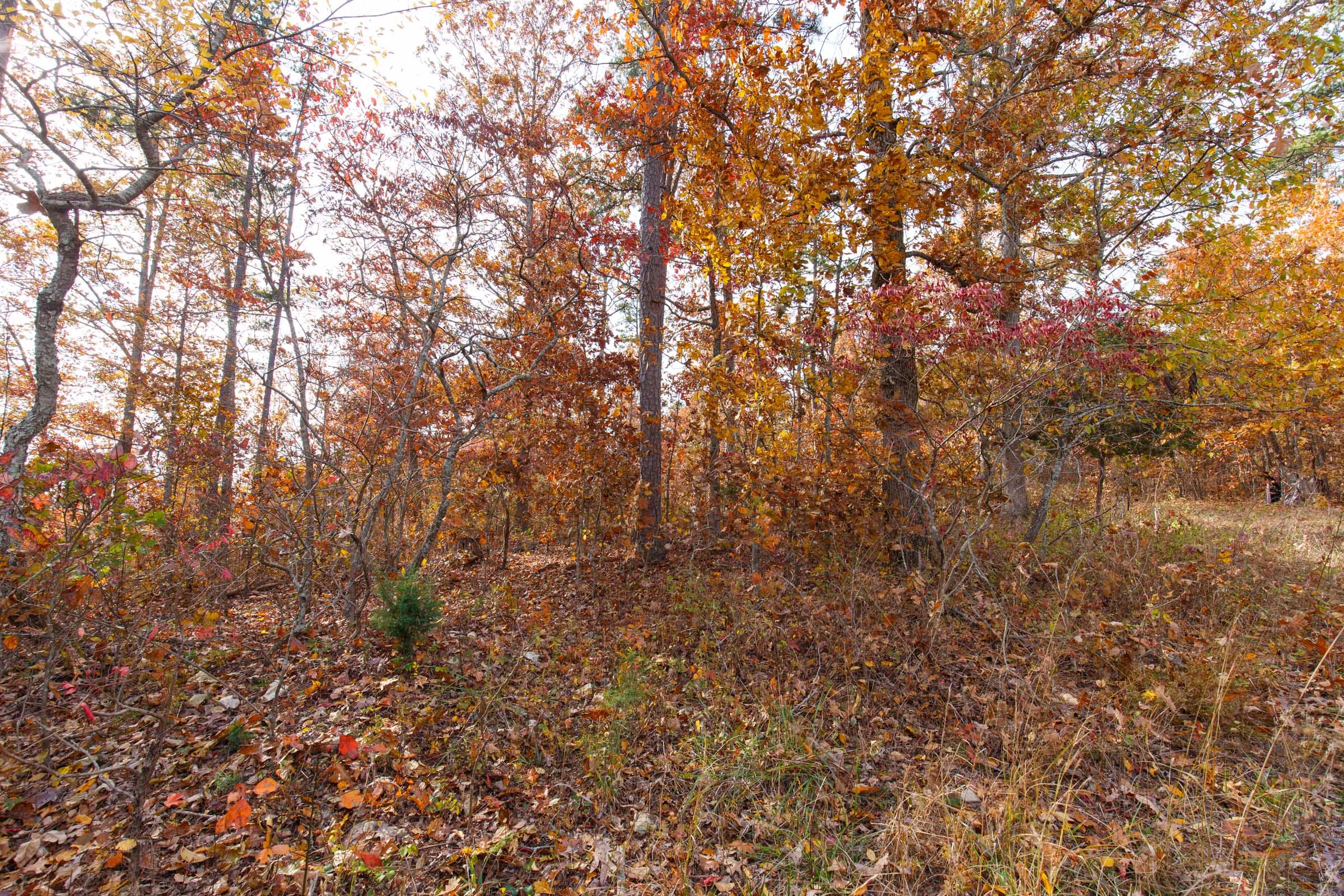 Hawkcrest Tract 36 photo 2