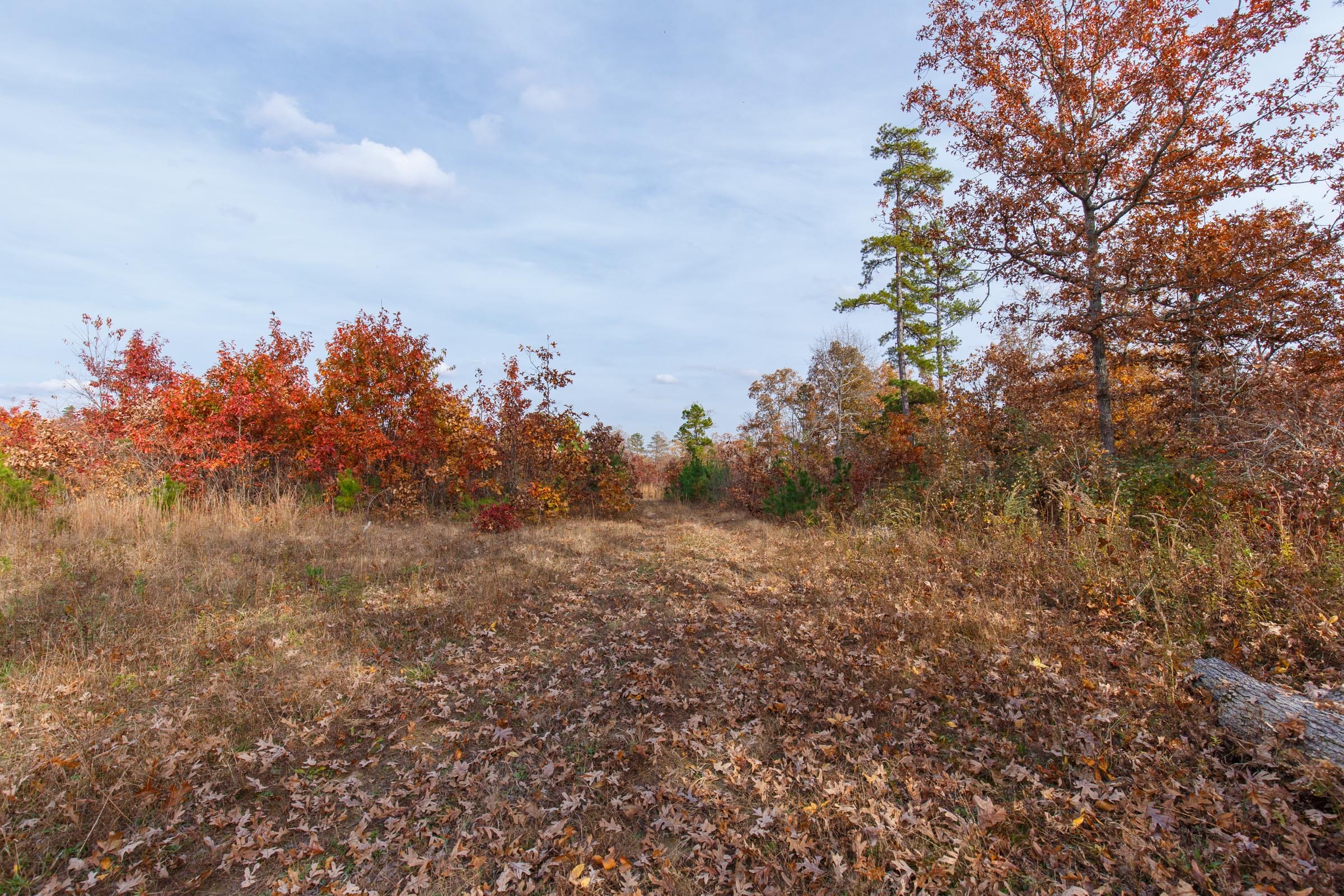 Hawkcrest Tract 36 photo 7