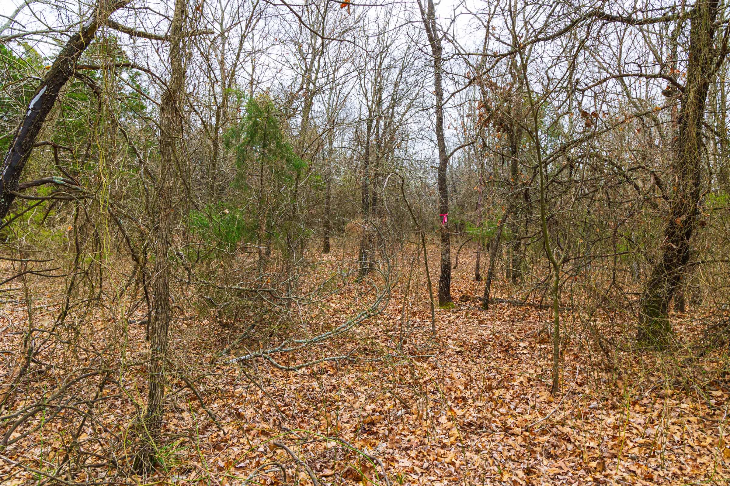 Reserves At Cattail Cove Phase I Tract 19 photo 14