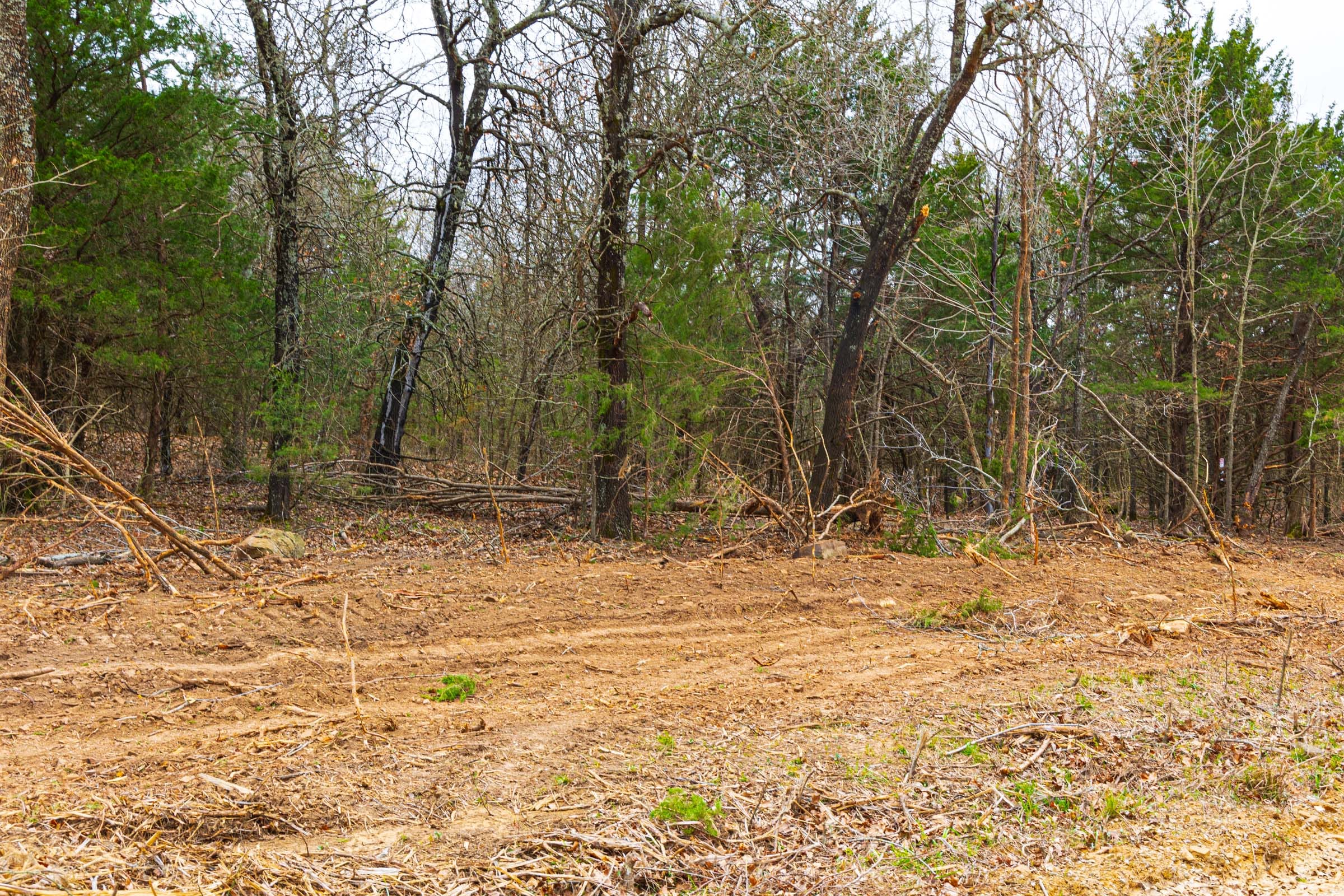Reserves At Cattail Cove Phase I Tract 19 photo 3