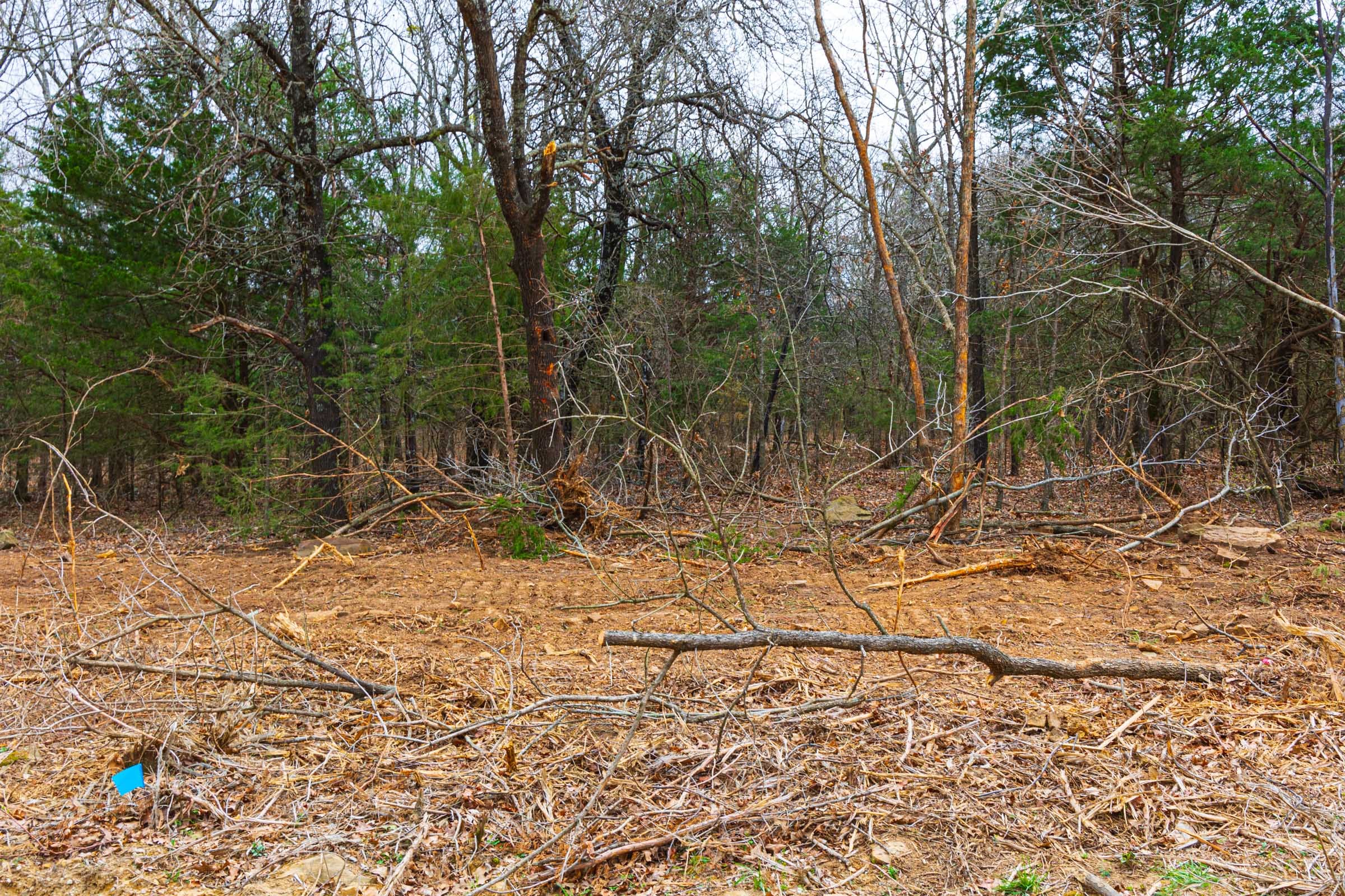 Reserves At Cattail Cove Phase I Tract 19 photo 9