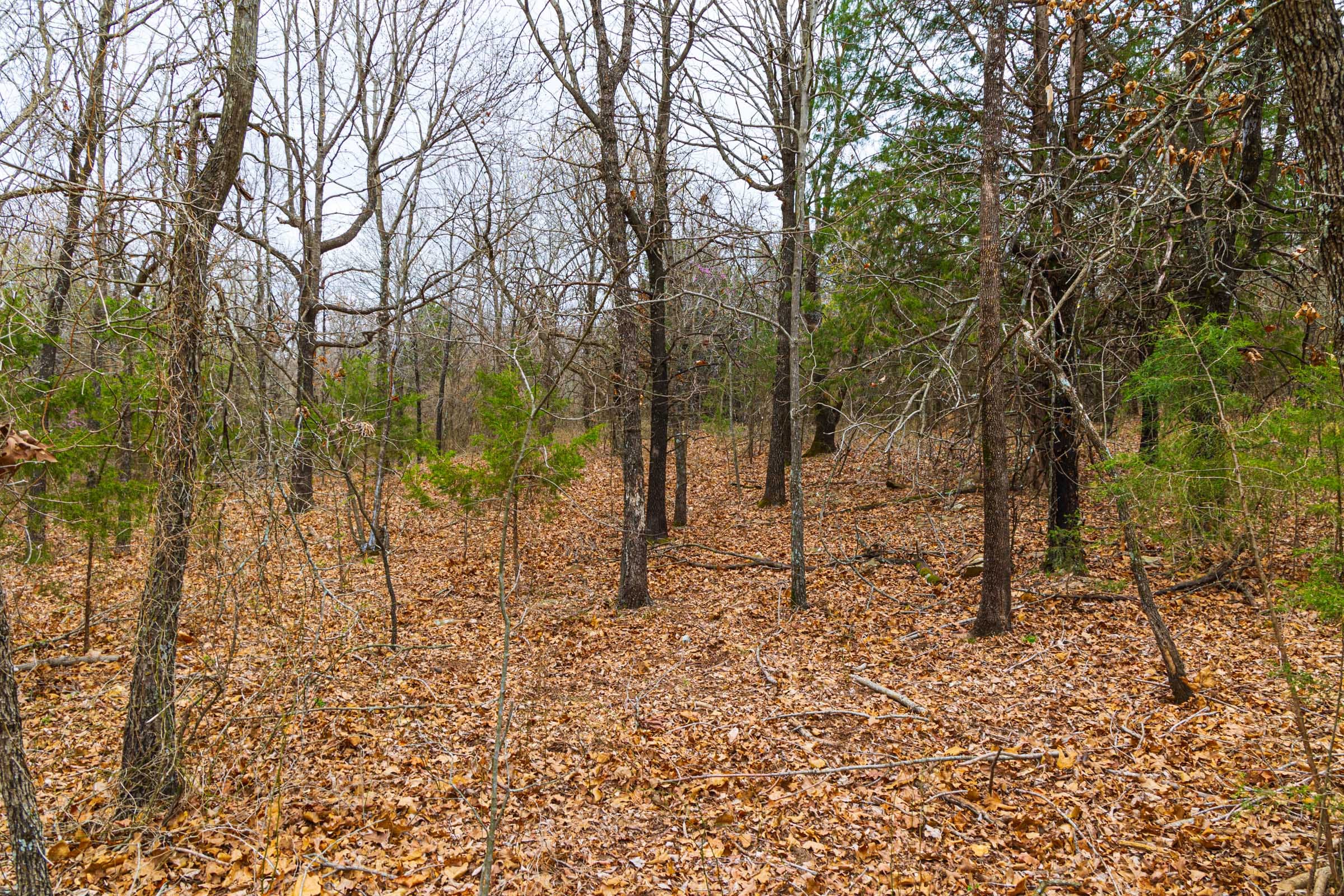Reserves At Cattail Cove Phase I Tract 19 photo 8