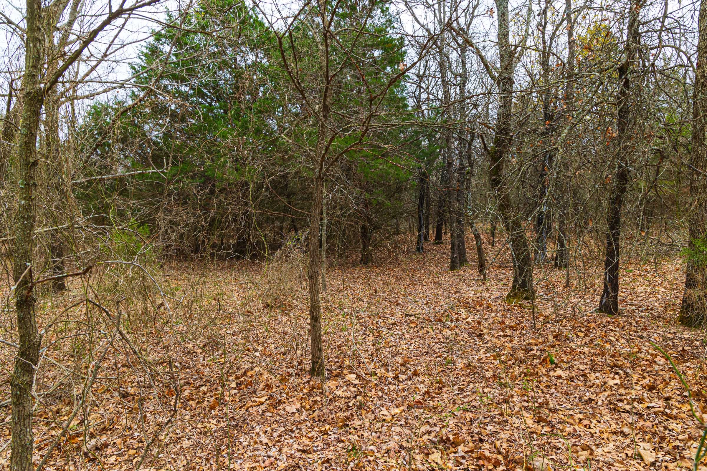 Reserves At Cattail Cove Phase I Tract 19 photo 7