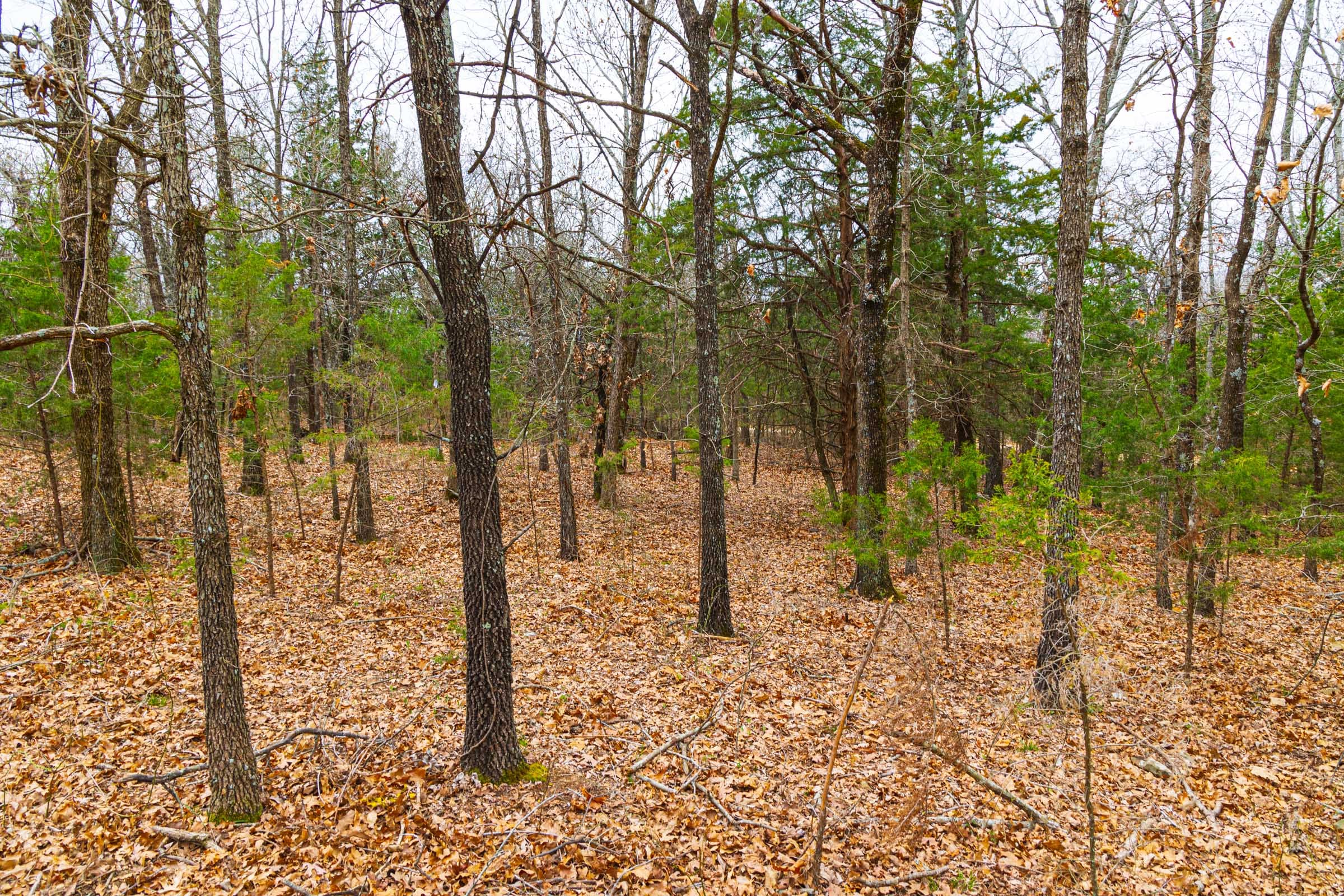 Reserves At Cattail Cove Phase I Tract 19 photo 6