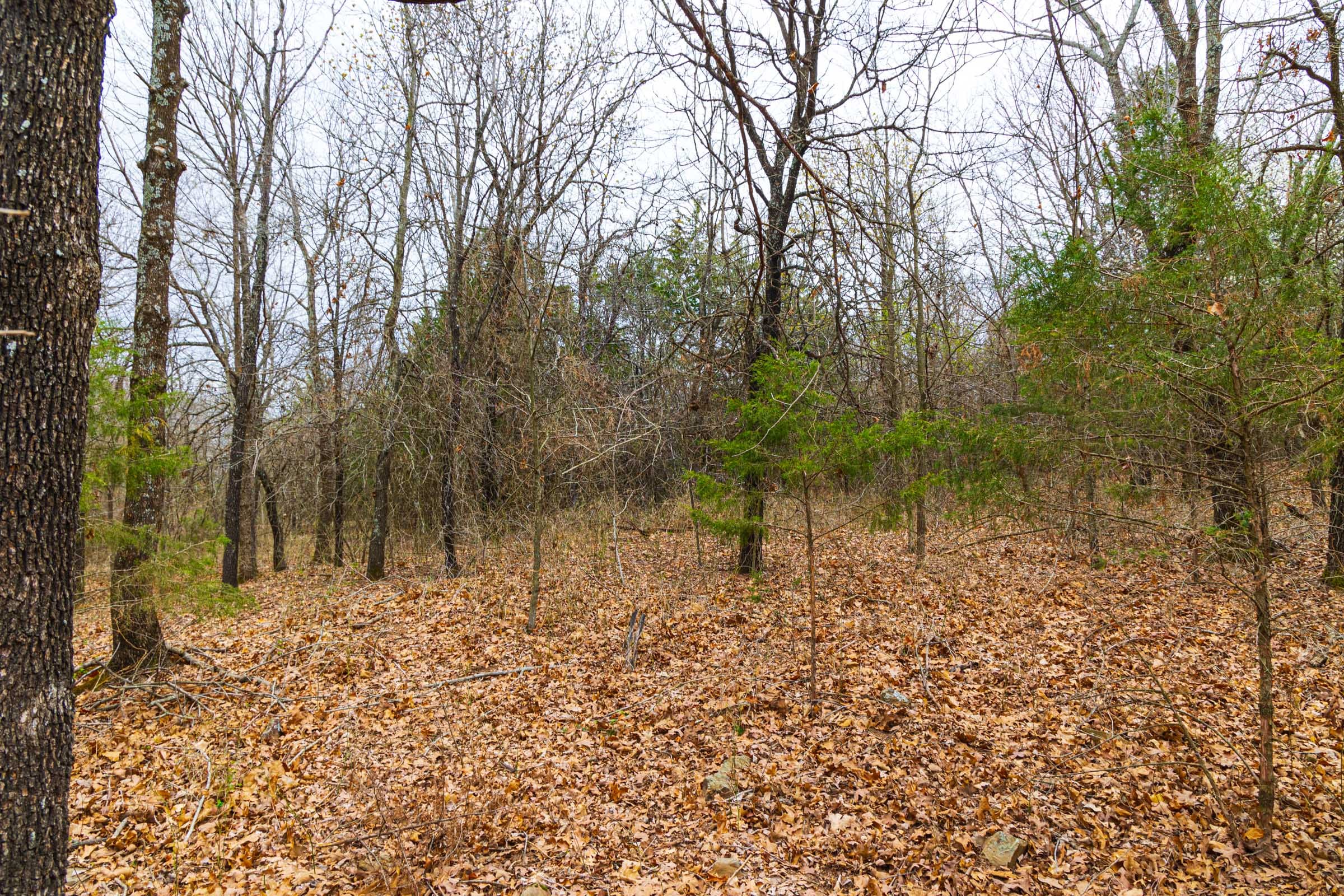 Reserves At Cattail Cove Phase I Tract 19 photo 5