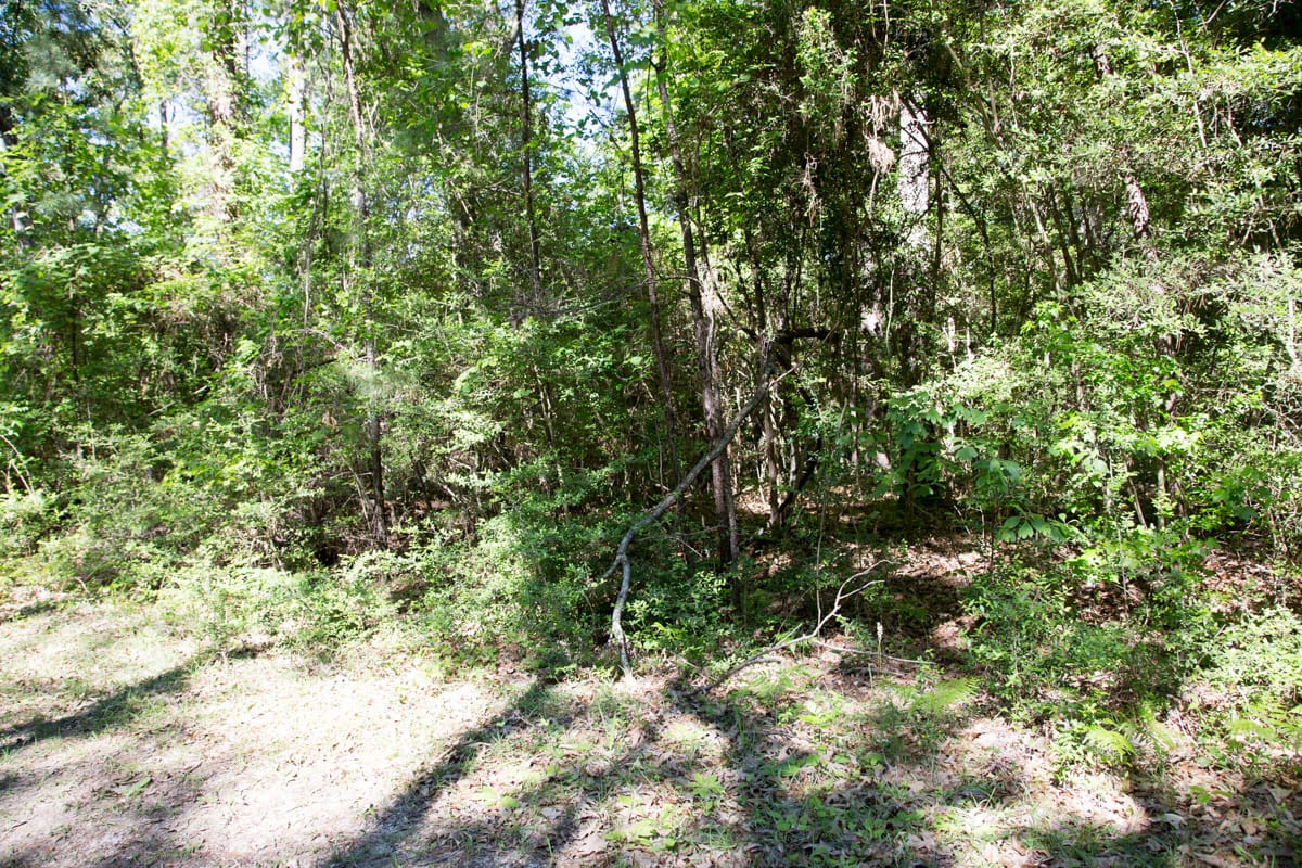 Rayburn Country Tract 168 photo 6