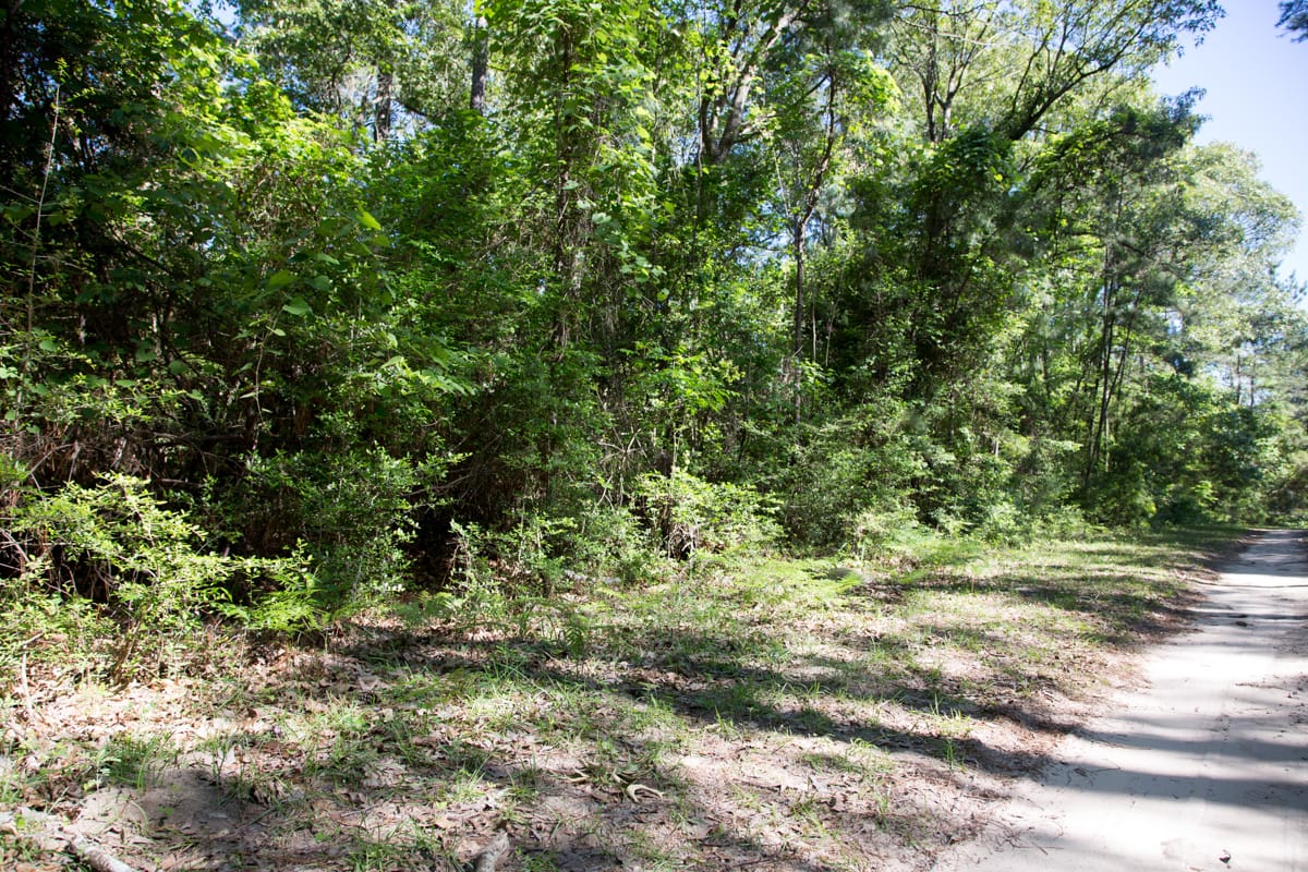 Rayburn Country Tract 168 photo 10
