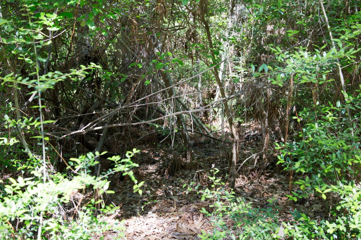 Rayburn Country Tract 168 photo 11