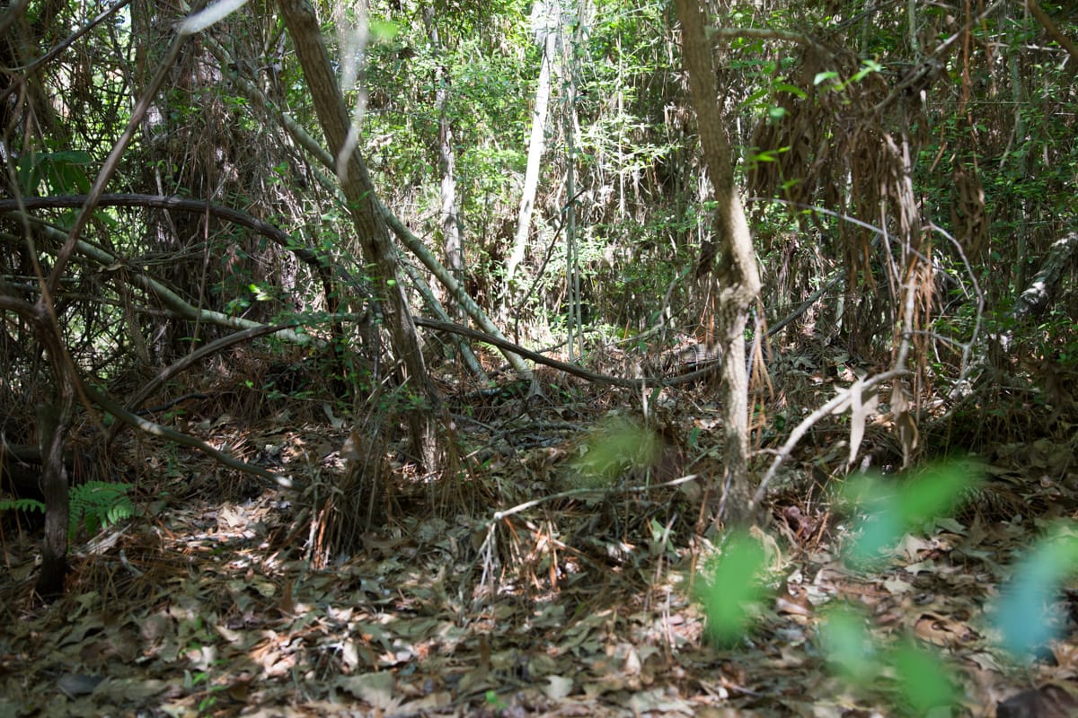 Rayburn Country Tract 168 photo 12
