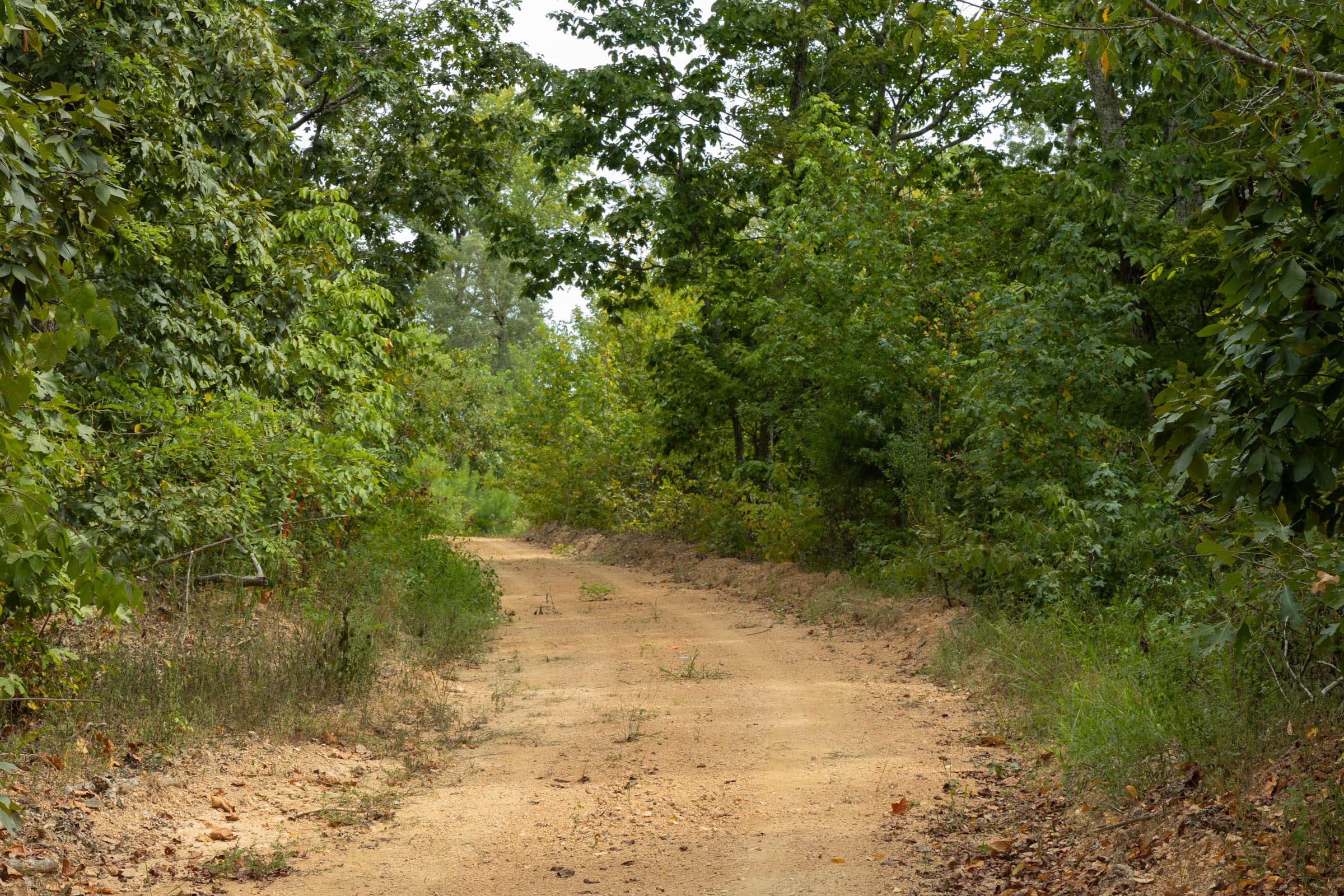 Big White Oak Tract 5 photo 5