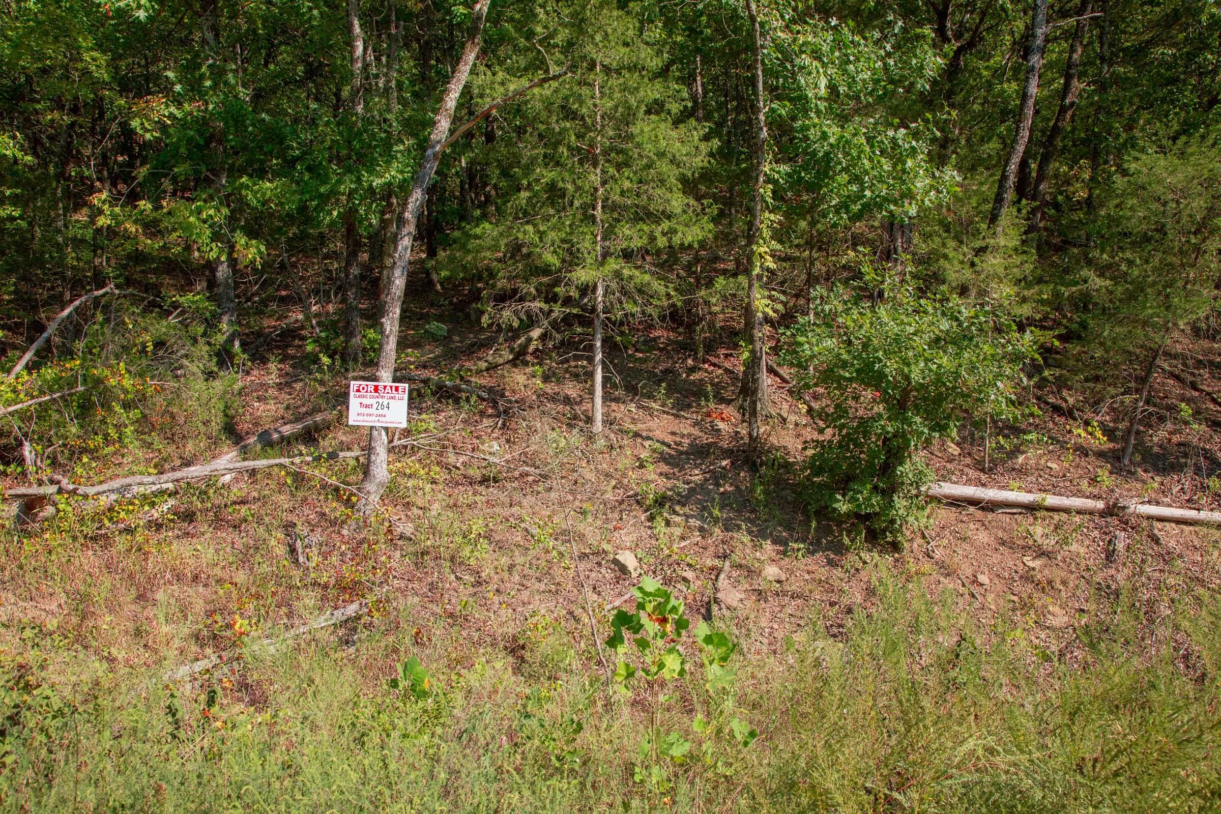 Stone Creek Phase II Tract 264 photo 1