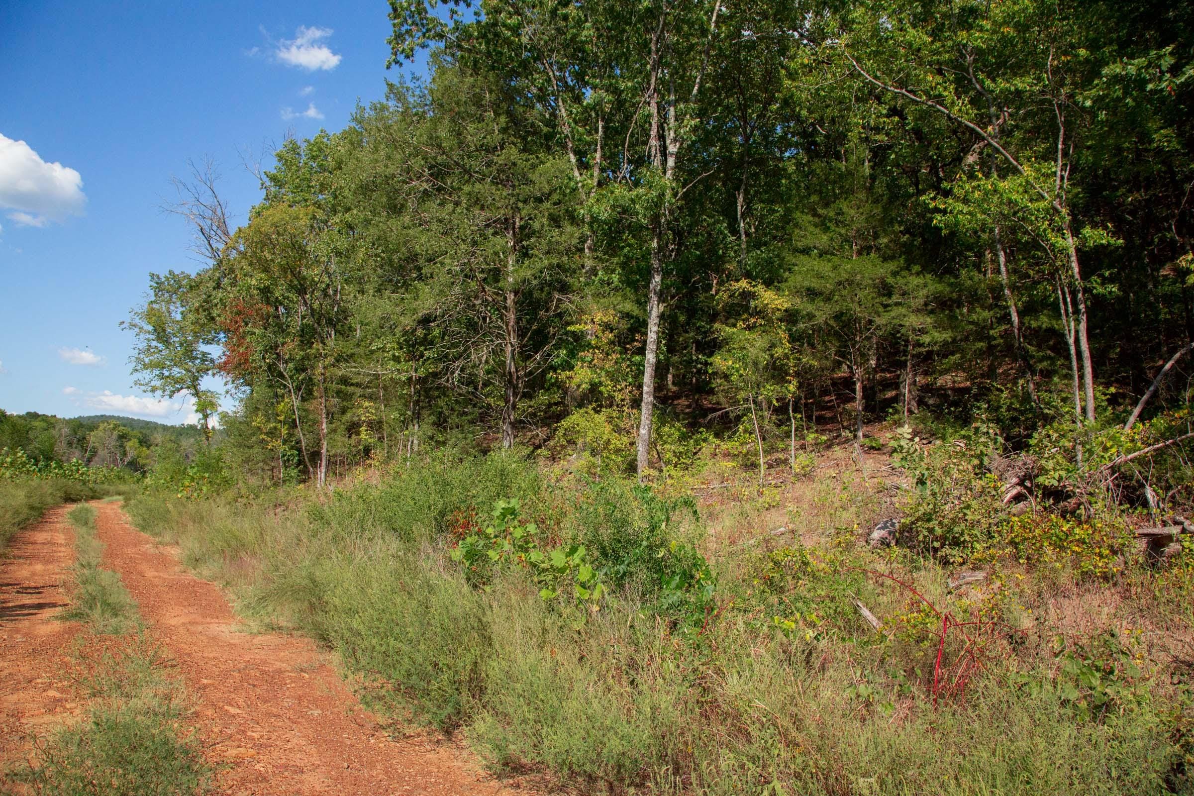 Stone Creek Phase II Tract 264 photo 2