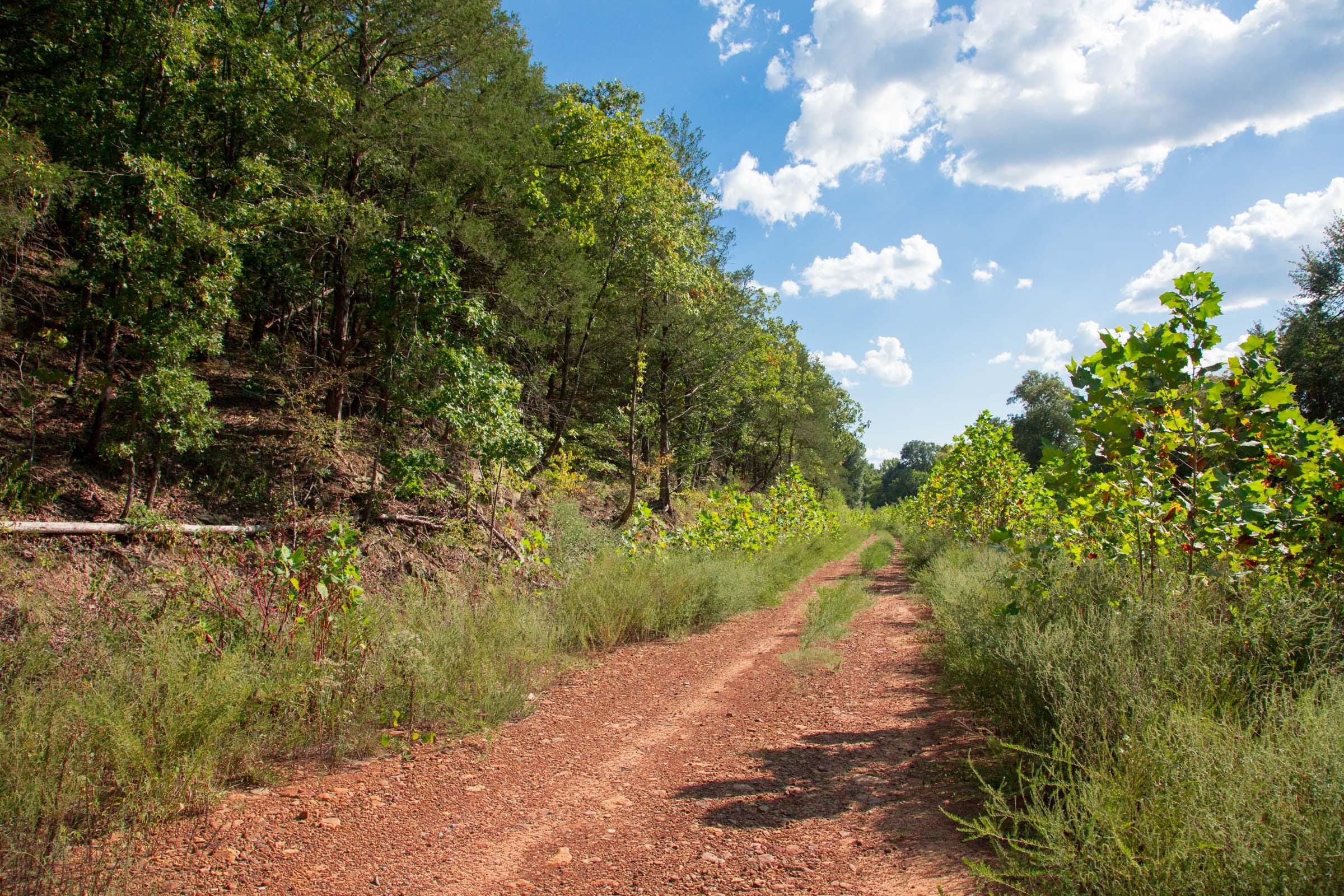 Stone Creek Phase II Tract 264 photo 3