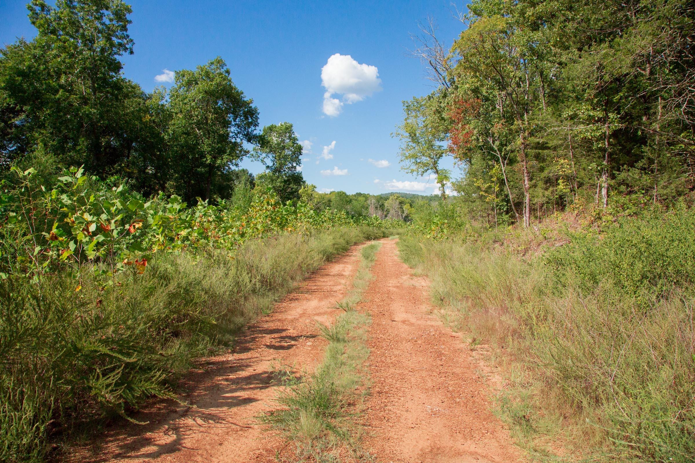 Stone Creek Phase II Tract 264 photo 4