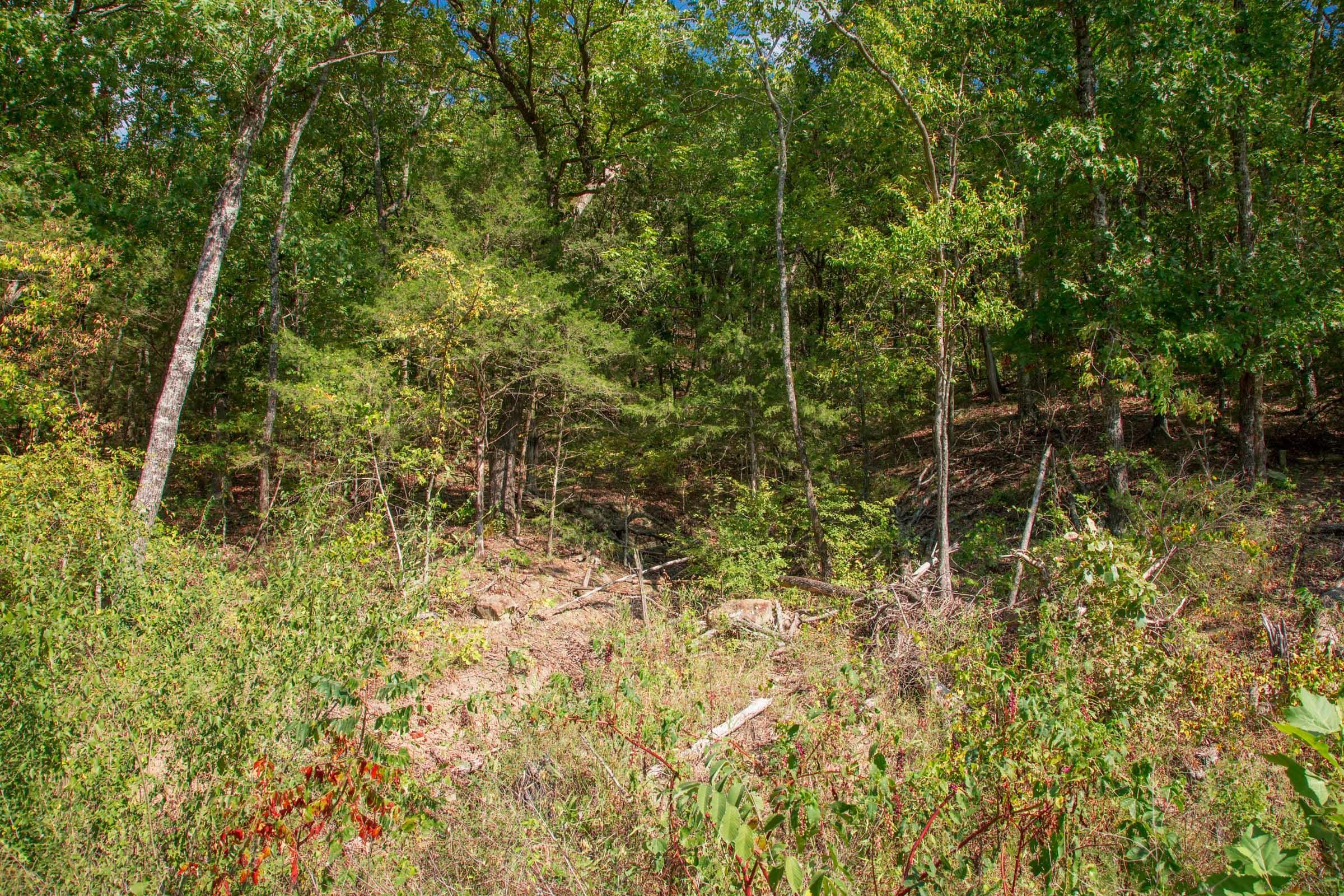 Stone Creek Phase II Tract 264 photo 5