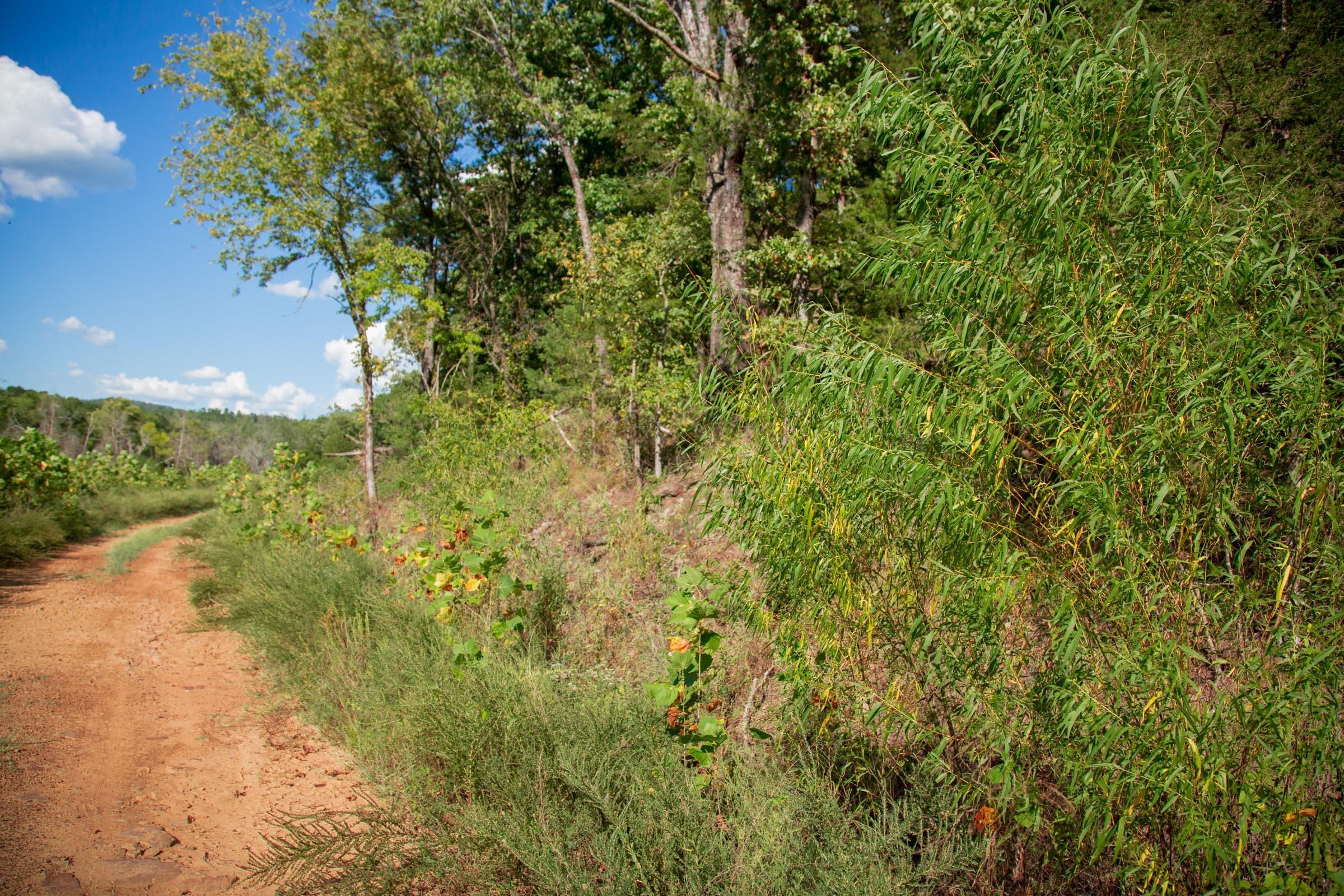 Stone Creek Phase II Tract 264 photo 6