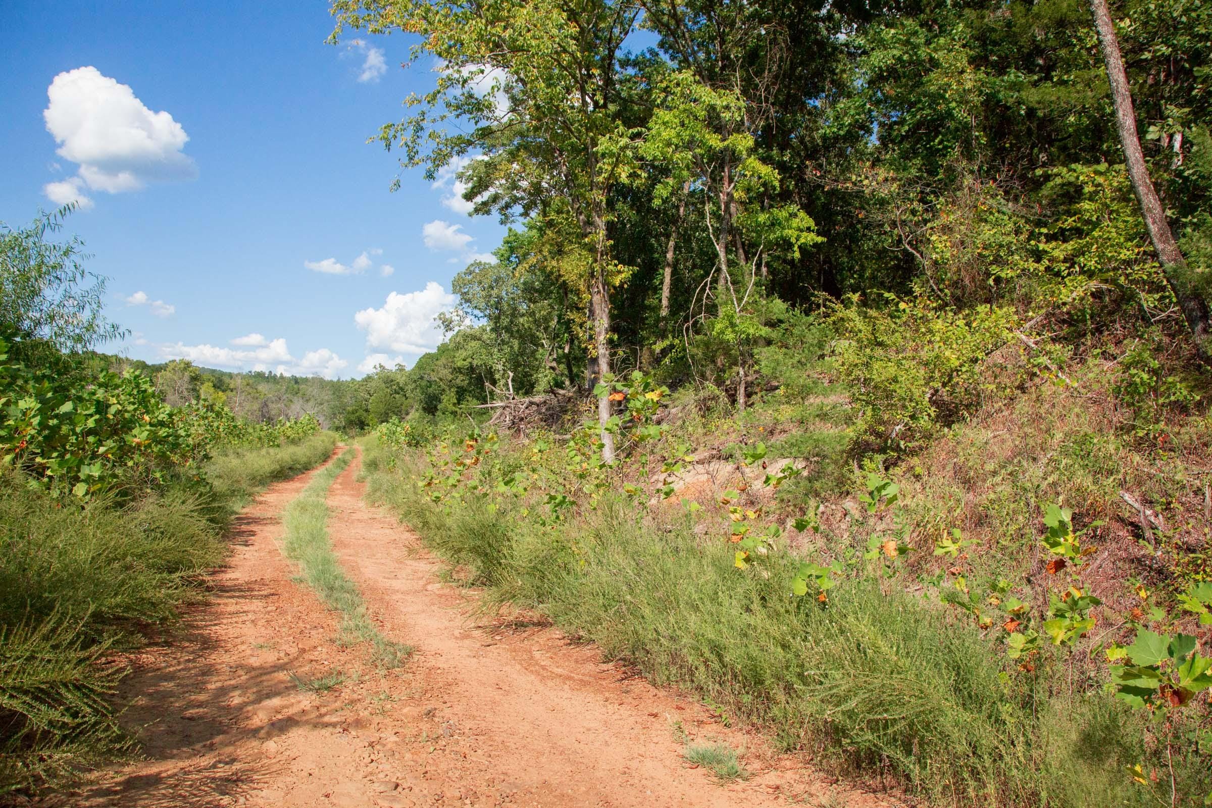 Stone Creek Phase II Tract 264 photo 7