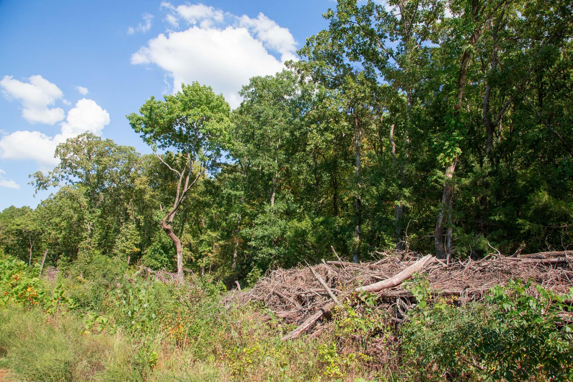 Stone Creek Phase II Tract 264 photo 8