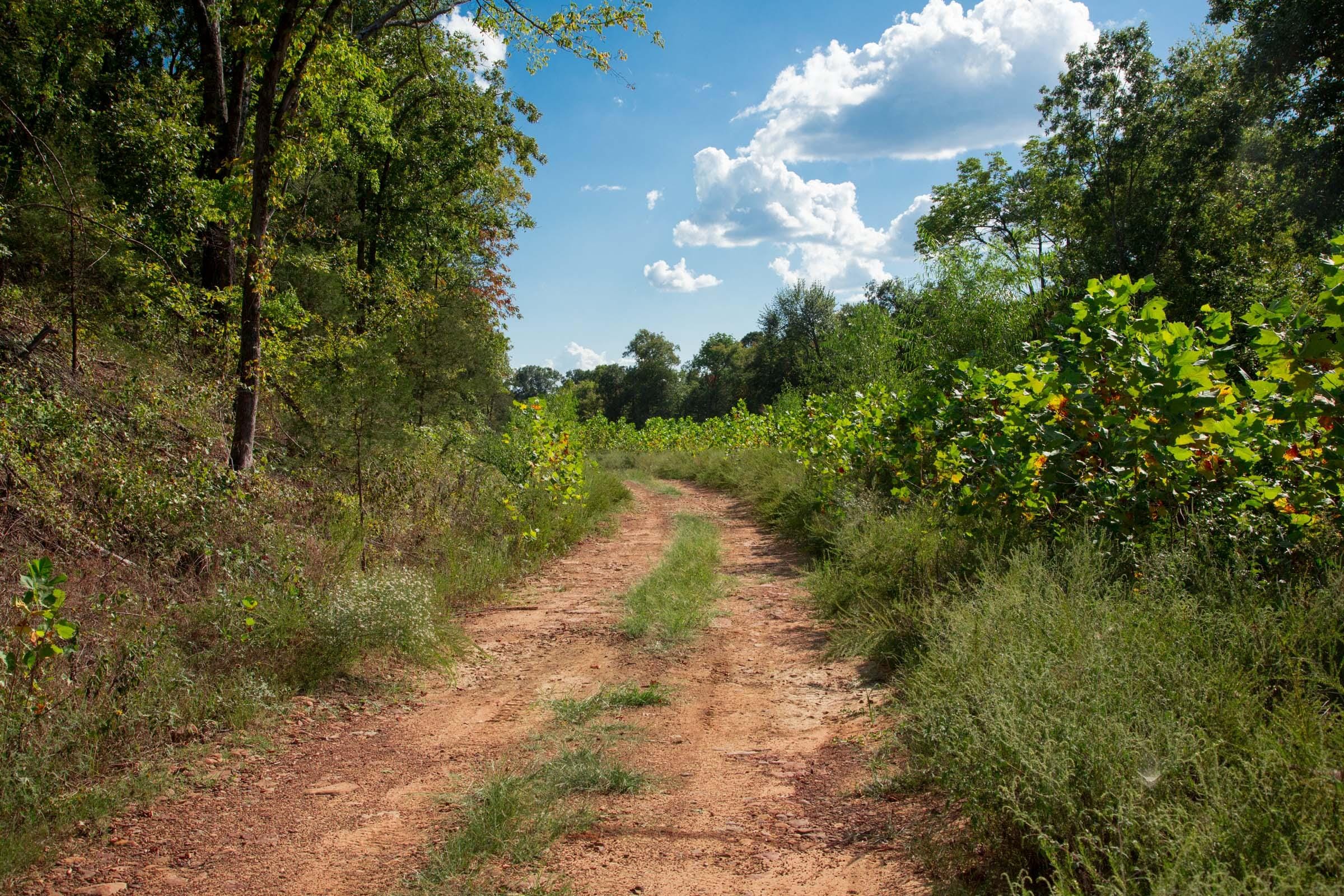 Stone Creek Phase II Tract 264 photo 9
