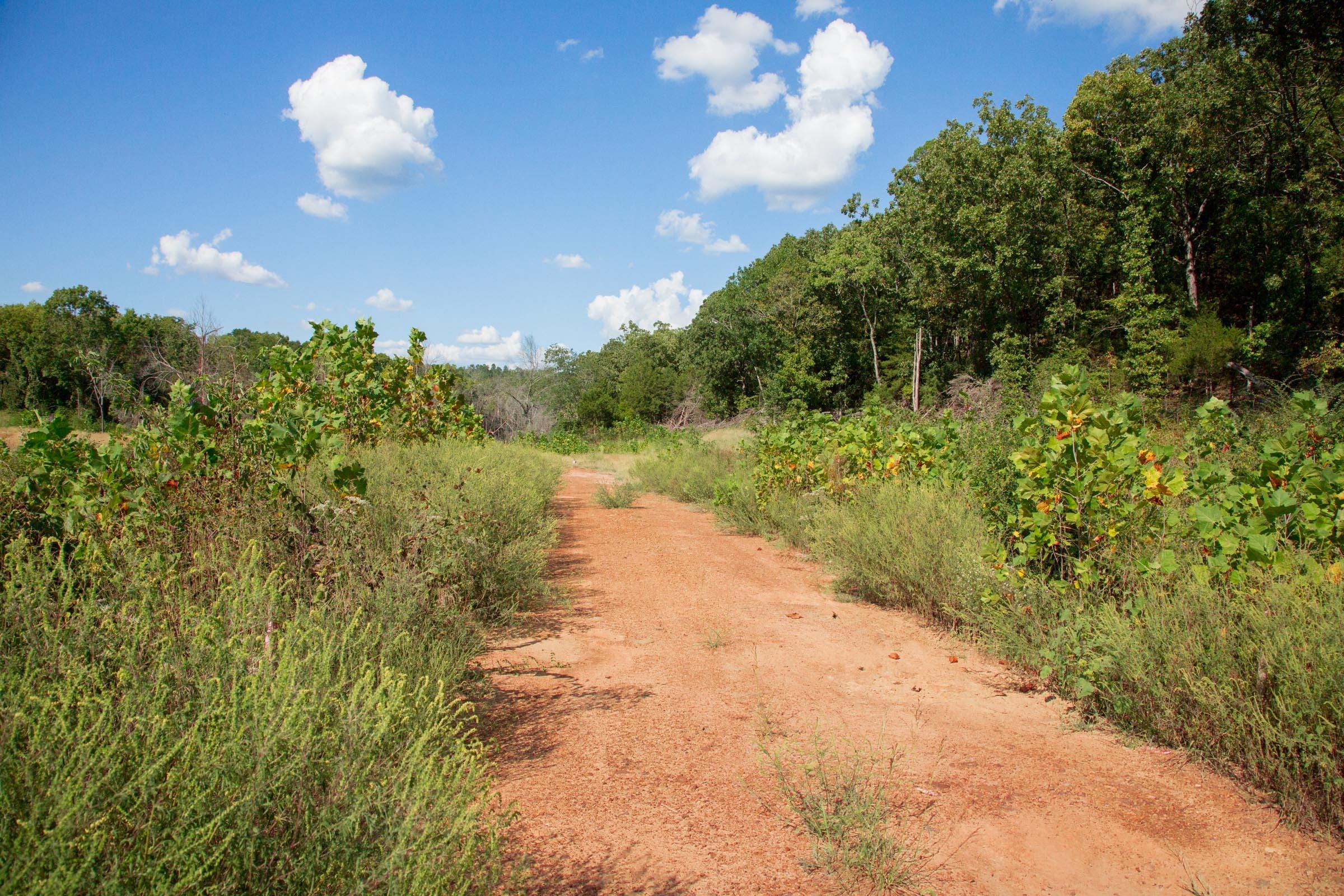 Stone Creek Phase II Tract 264 photo 10