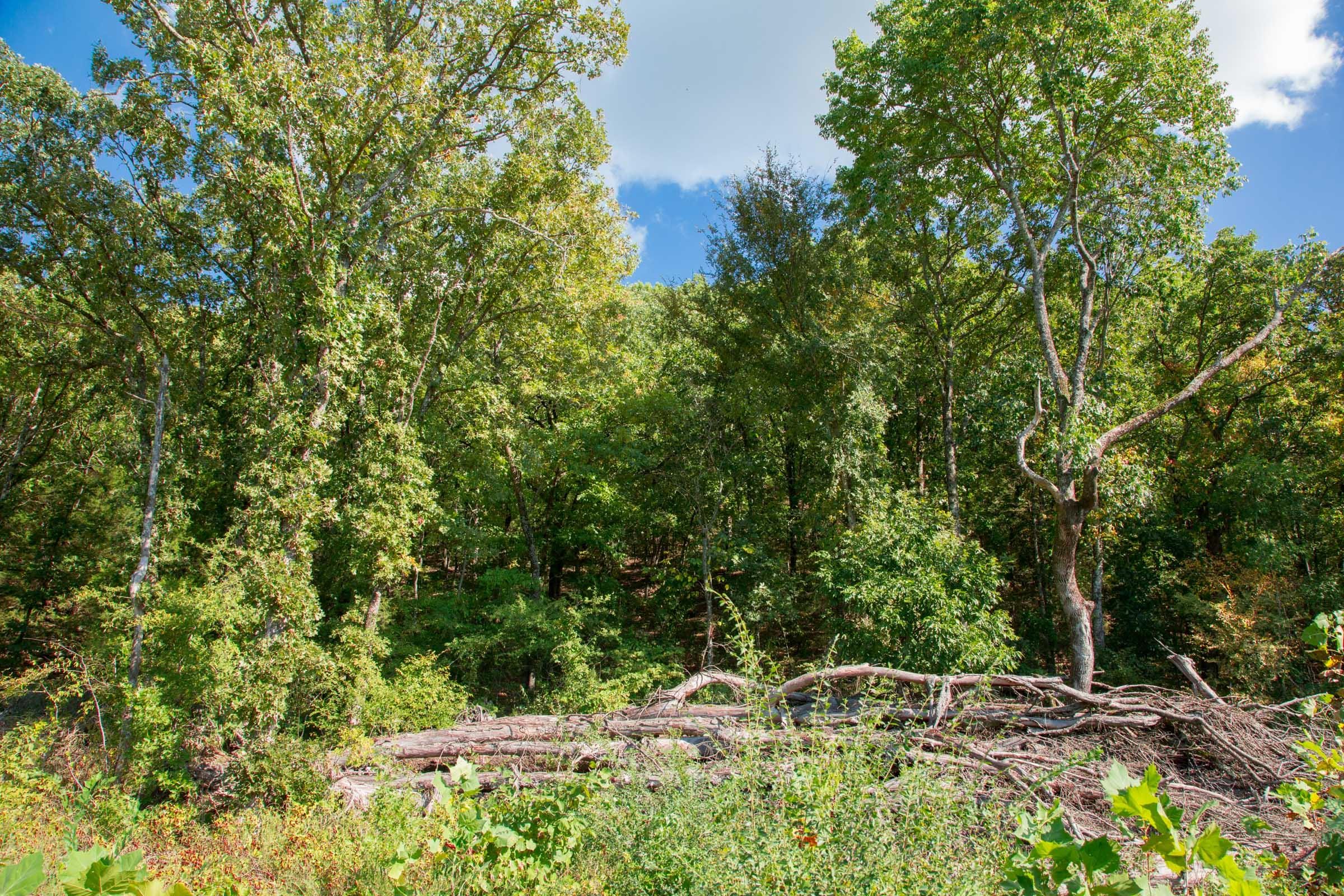Stone Creek Phase II Tract 264 photo 11