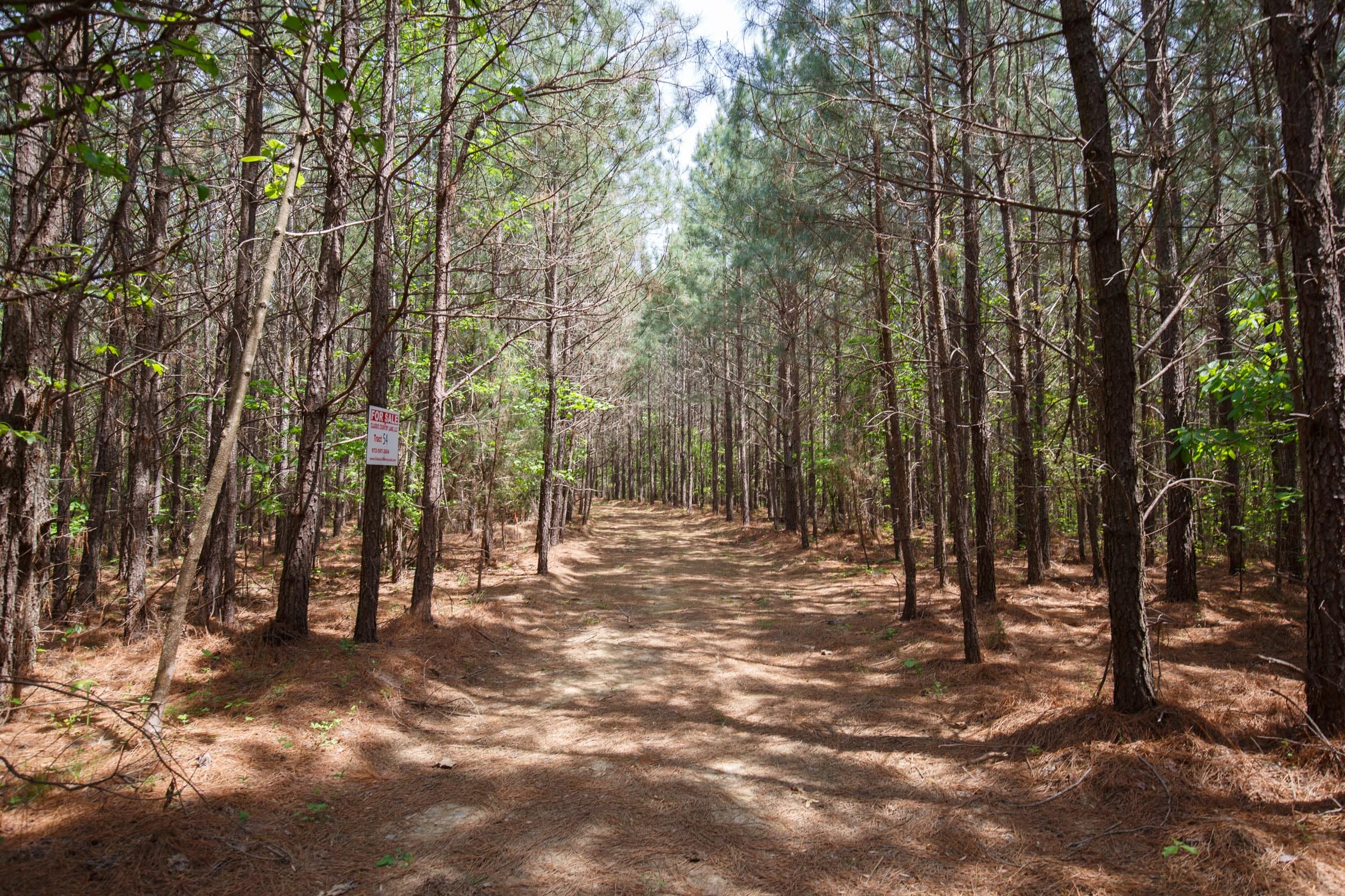 Red Barn Ranch Tract 54 photo 1