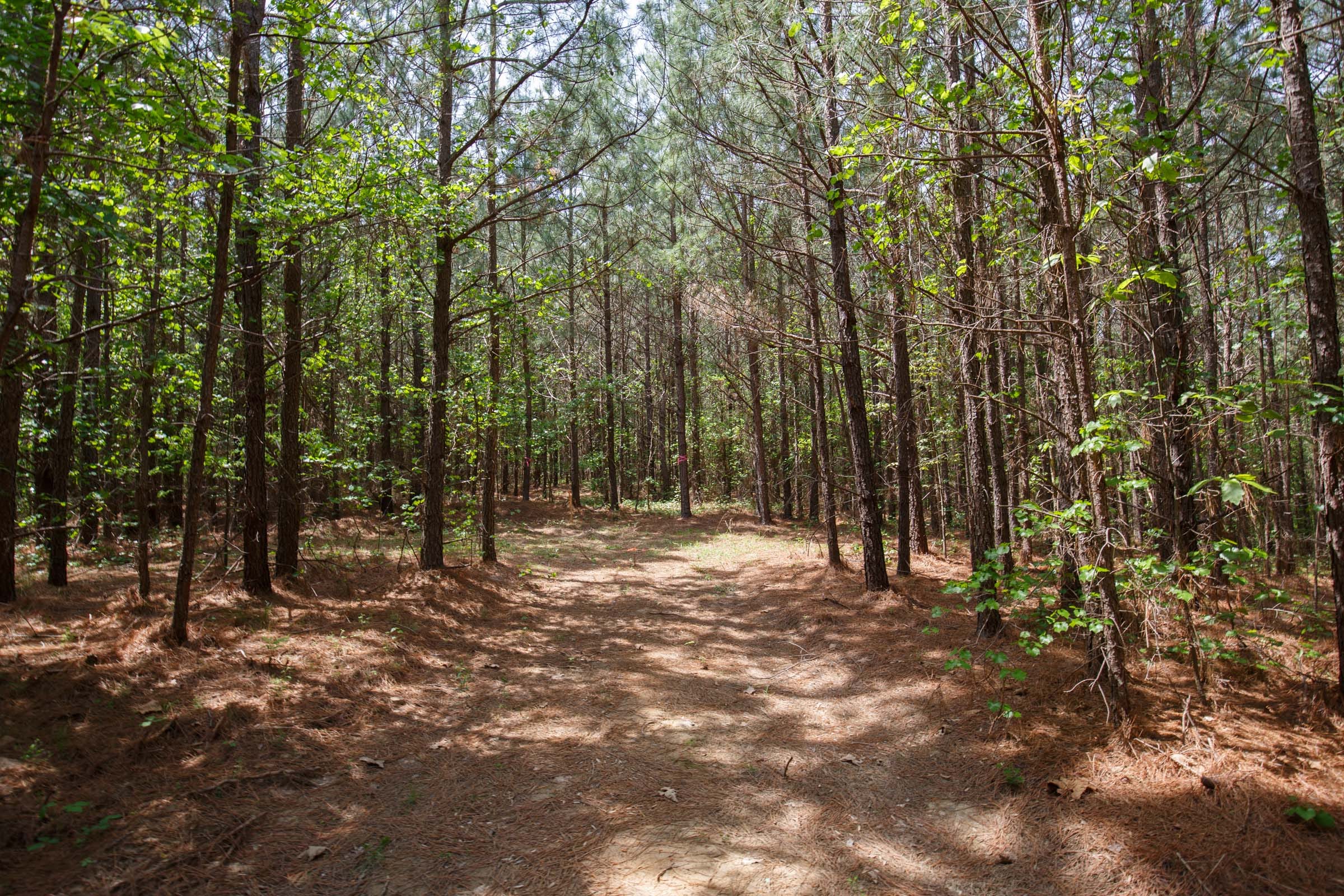 Red Barn Ranch Tract 54 photo 5