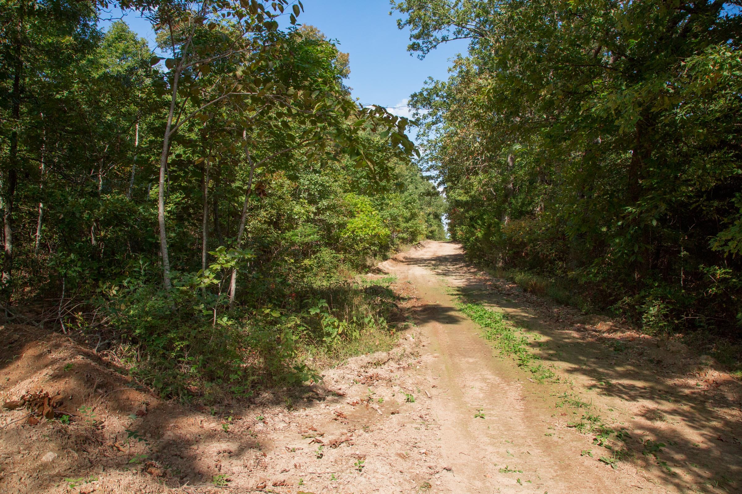 Wagon Wheel Ranch Tract 6 photo 2