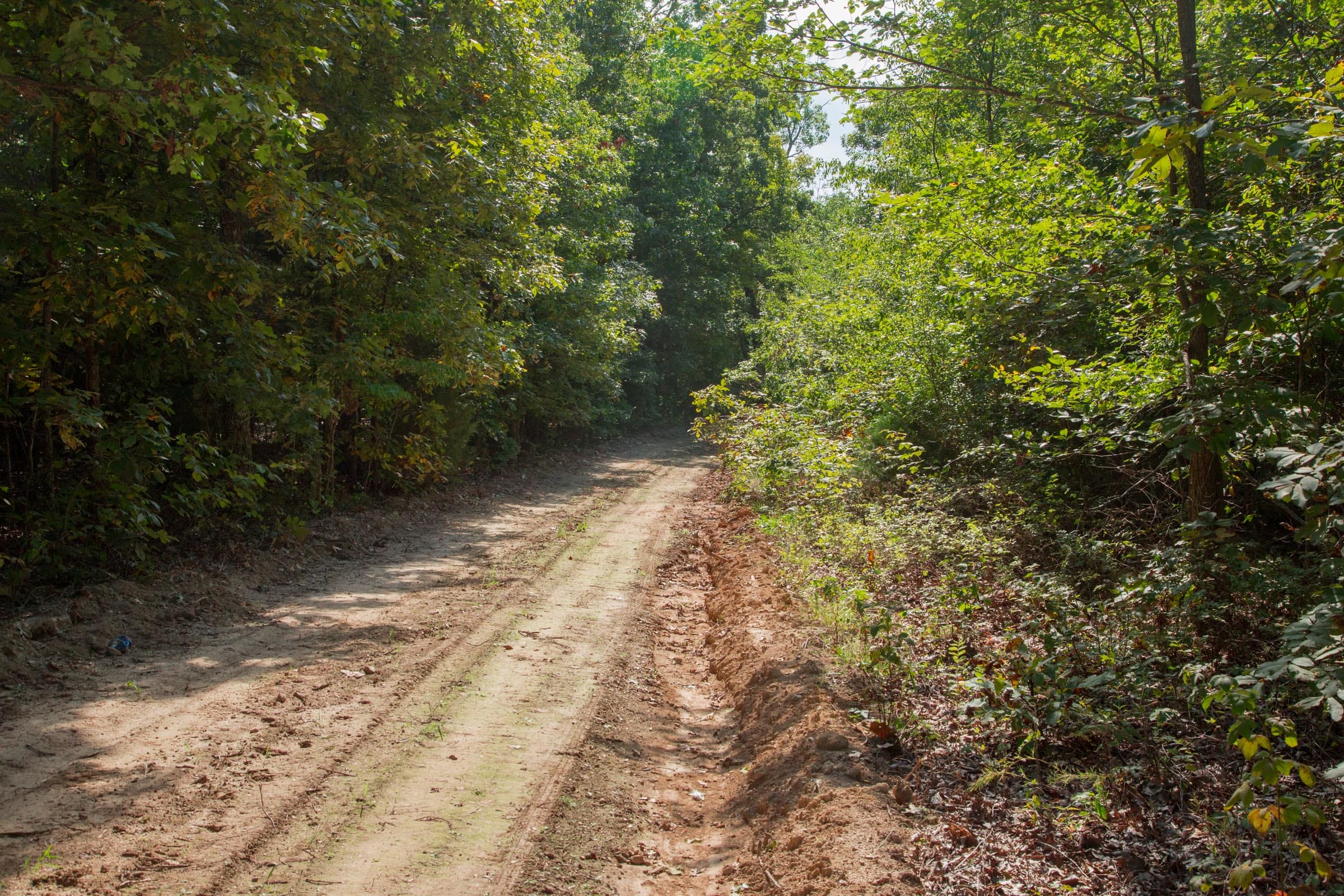 Wagon Wheel Ranch Tract 6 photo 3