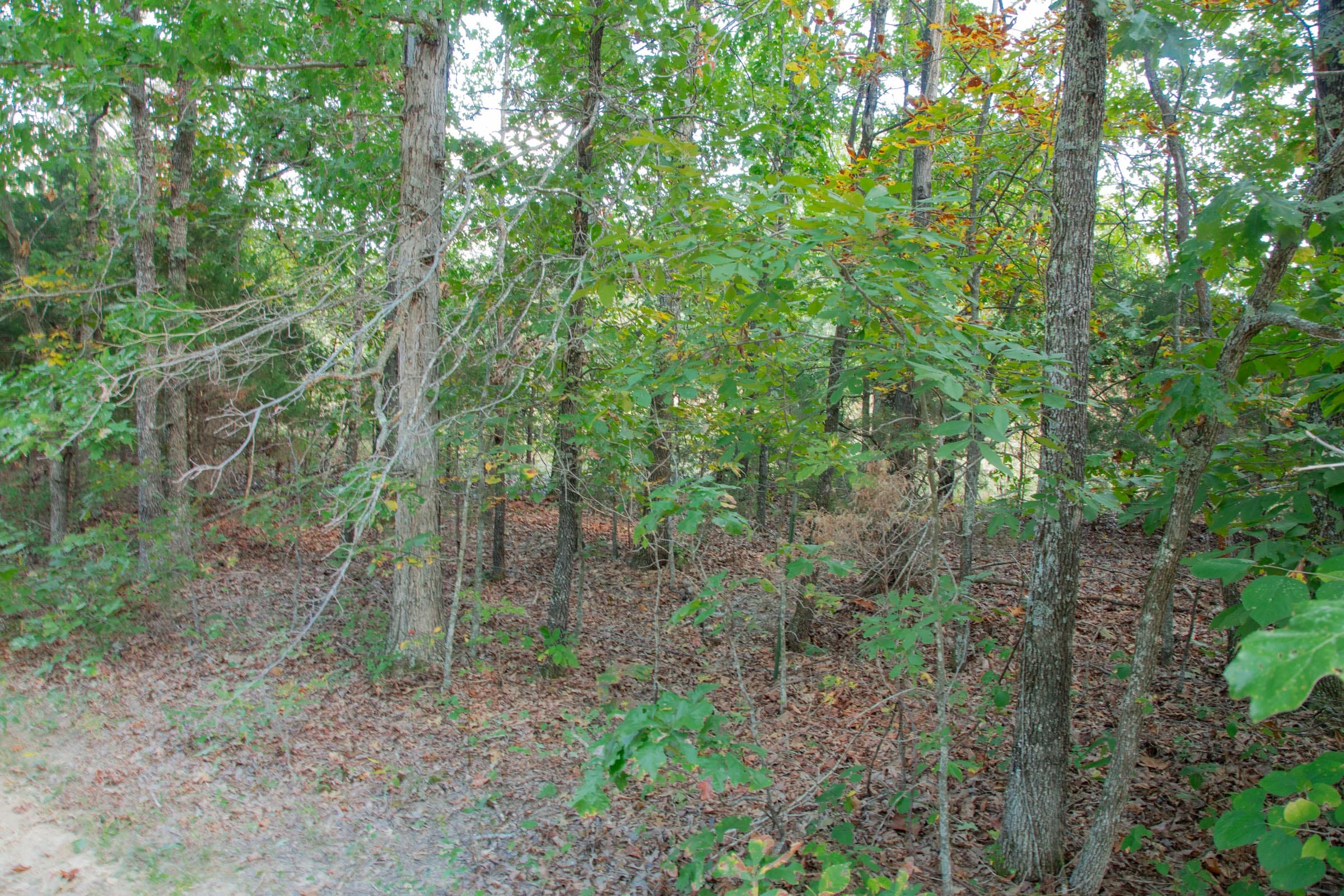 Wagon Wheel Ranch Tract 6 photo 4