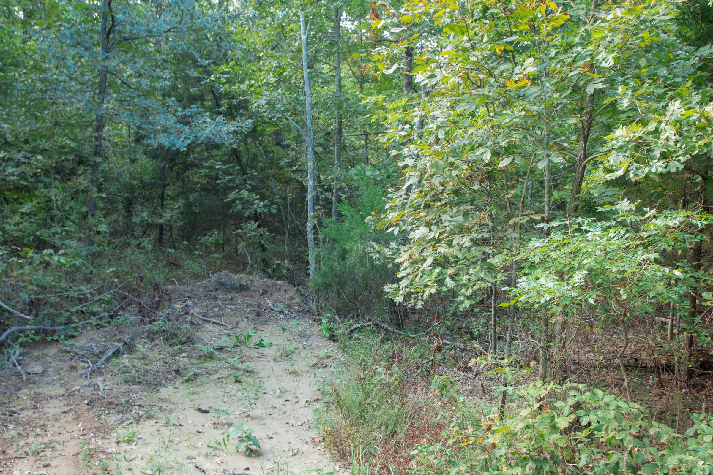 Wagon Wheel Ranch Tract 6 photo 5