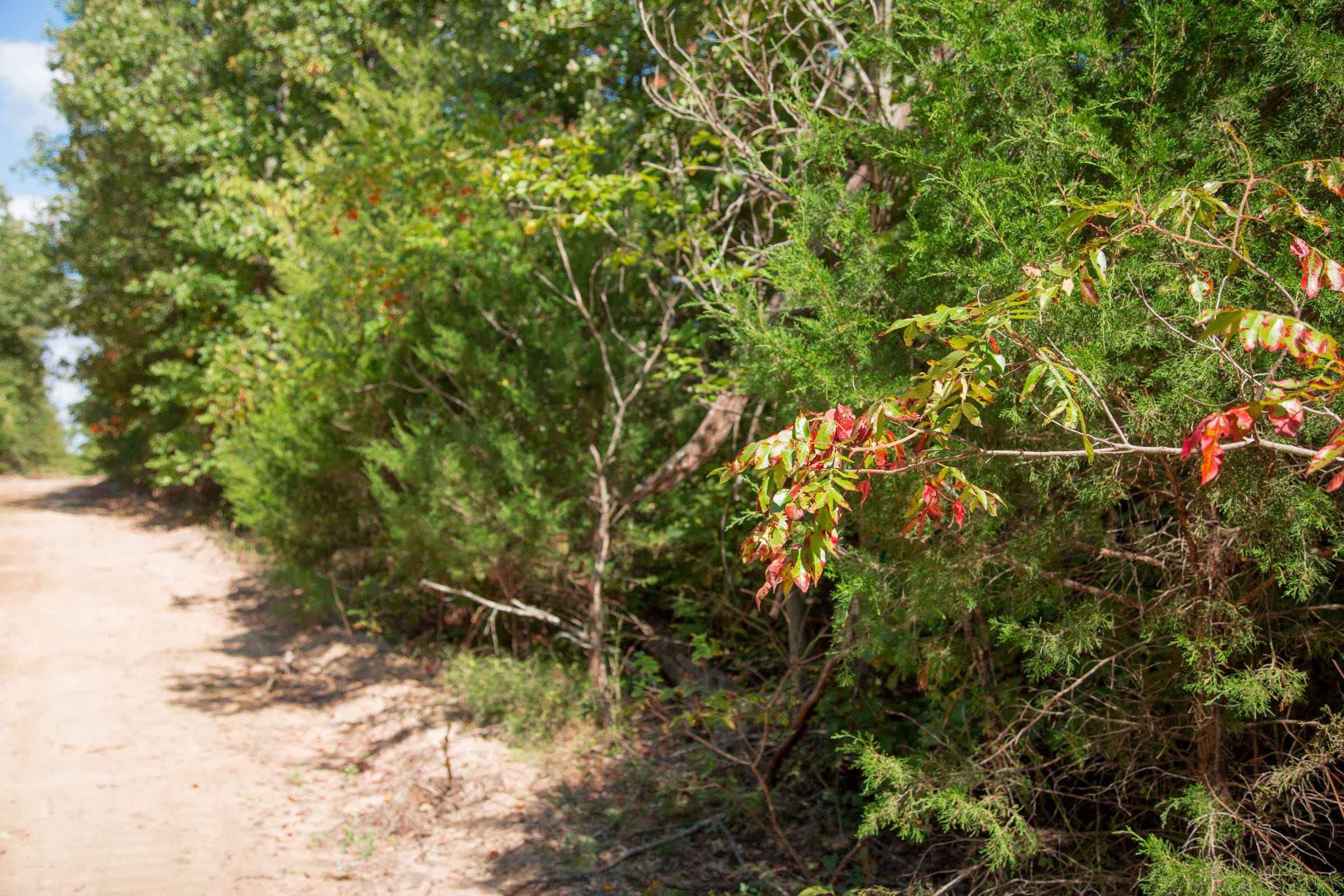 Wagon Wheel Ranch Tract 6 photo 7