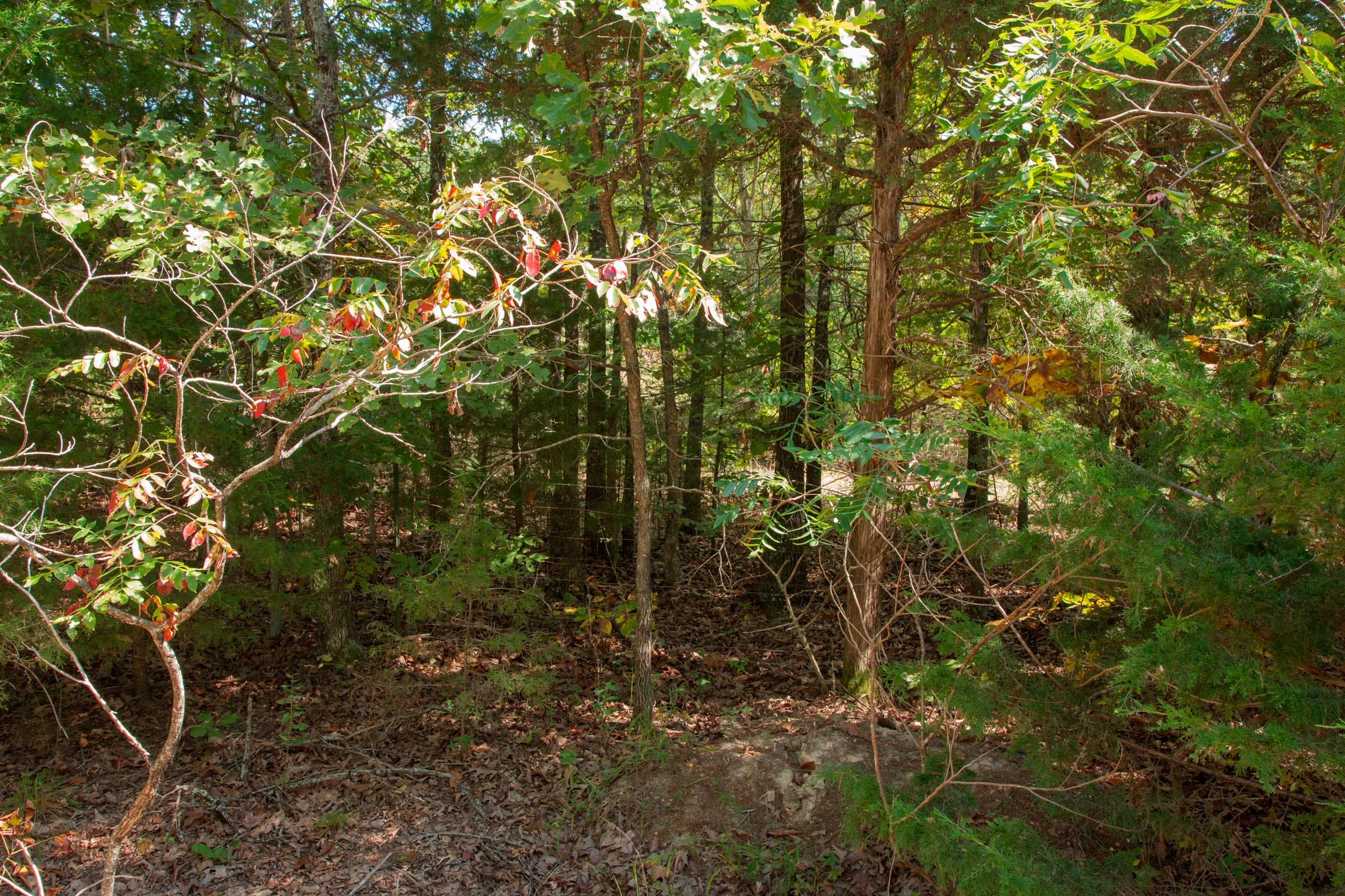 Wagon Wheel Ranch Tract 6 photo 8