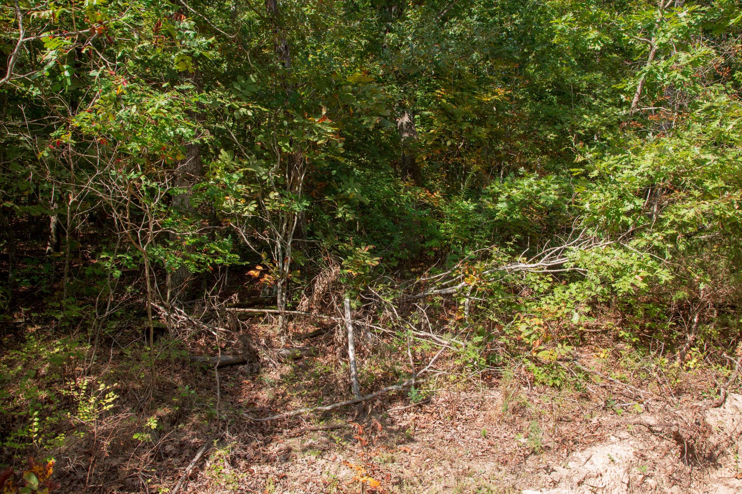 Wagon Wheel Ranch Tract 6 photo 9