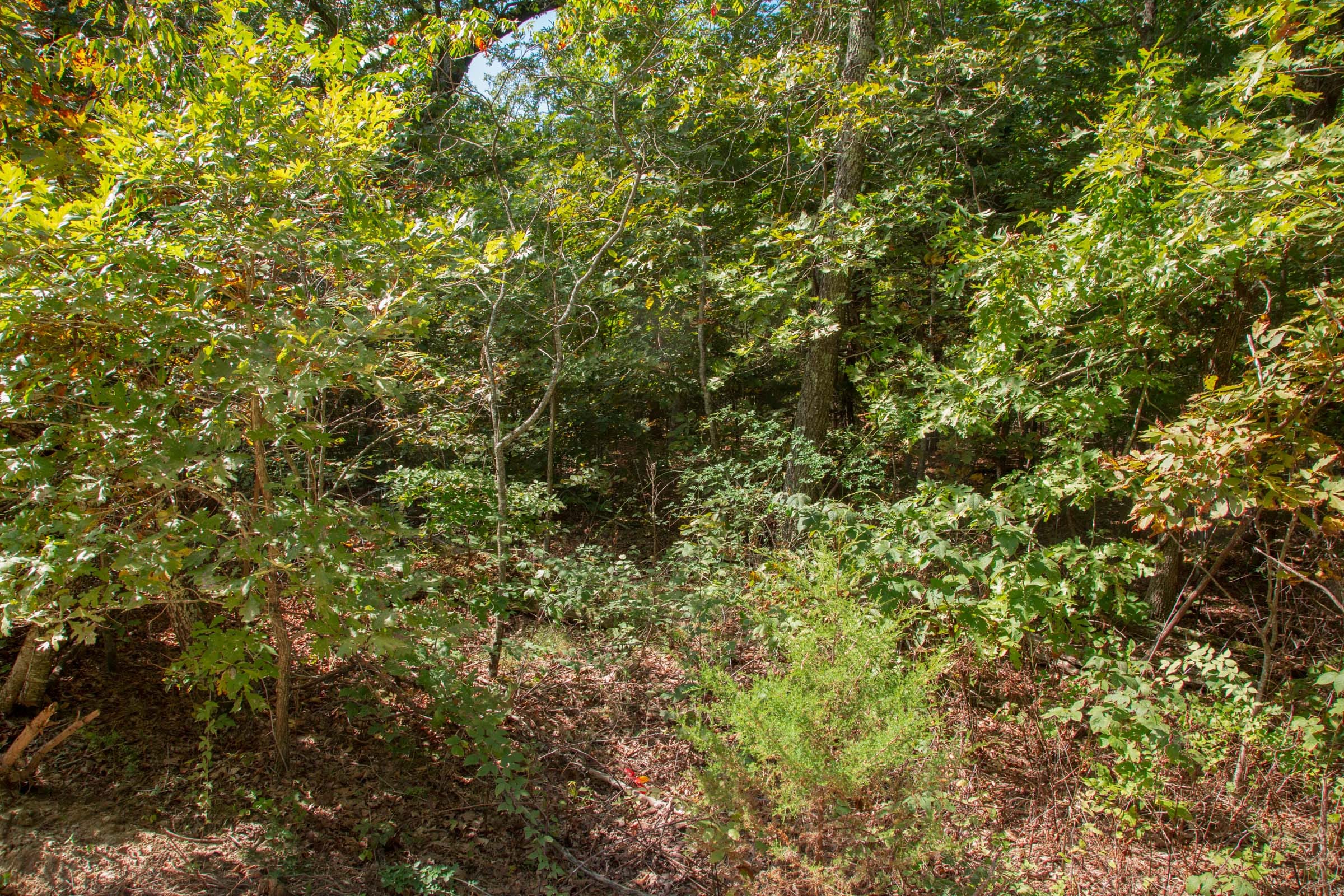 Wagon Wheel Ranch Tract 6 photo 10