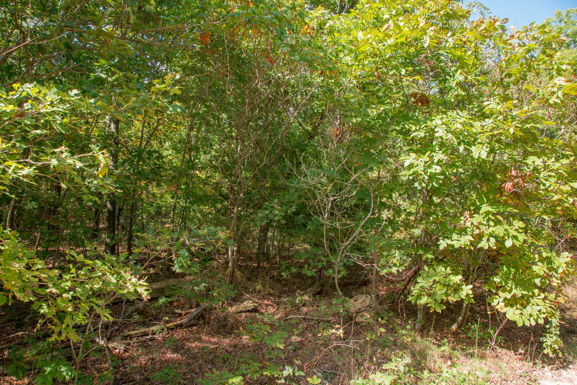 Wagon Wheel Ranch Tract 6 photo 11