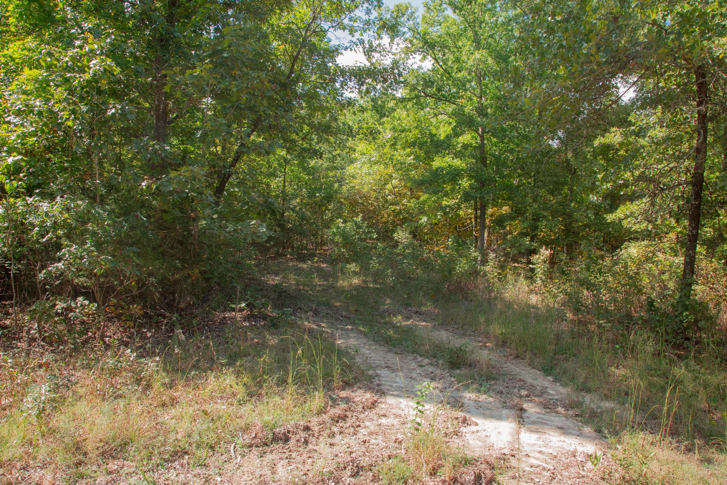 Wagon Wheel Ranch Tract 6 photo 12