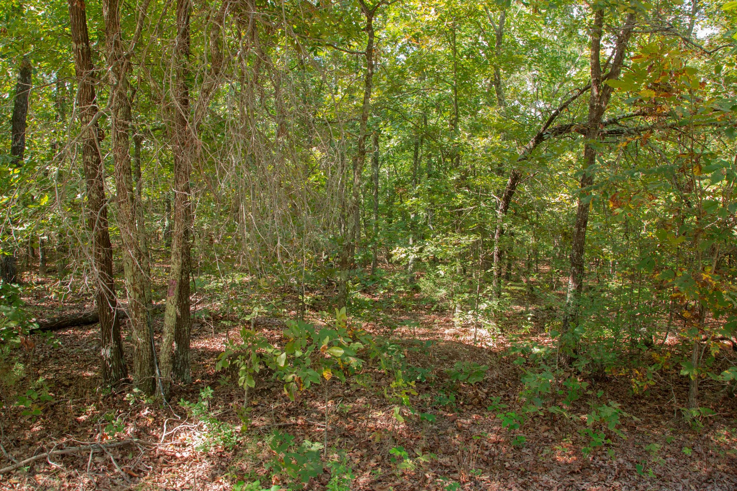 Wagon Wheel Ranch Tract 6 photo 1