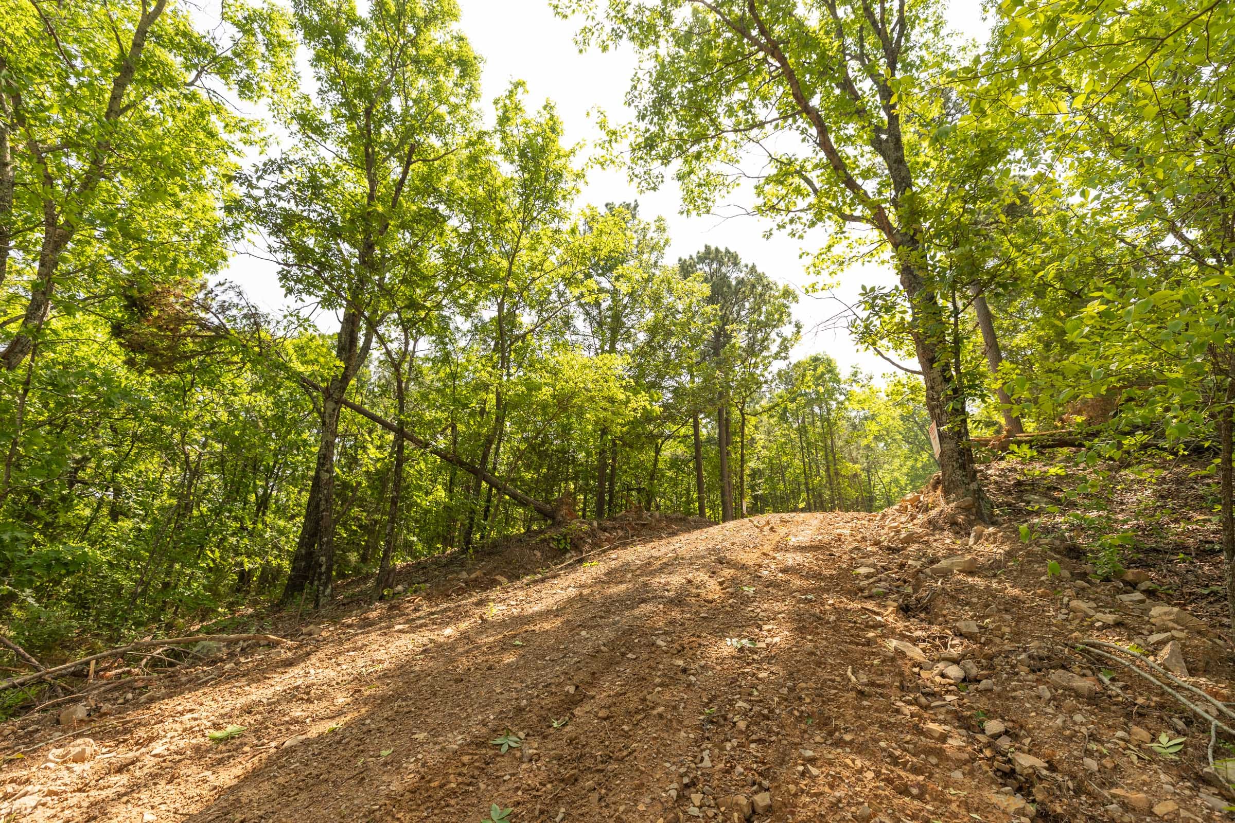 Stone Bridge Reserve Tract 35 photo 14