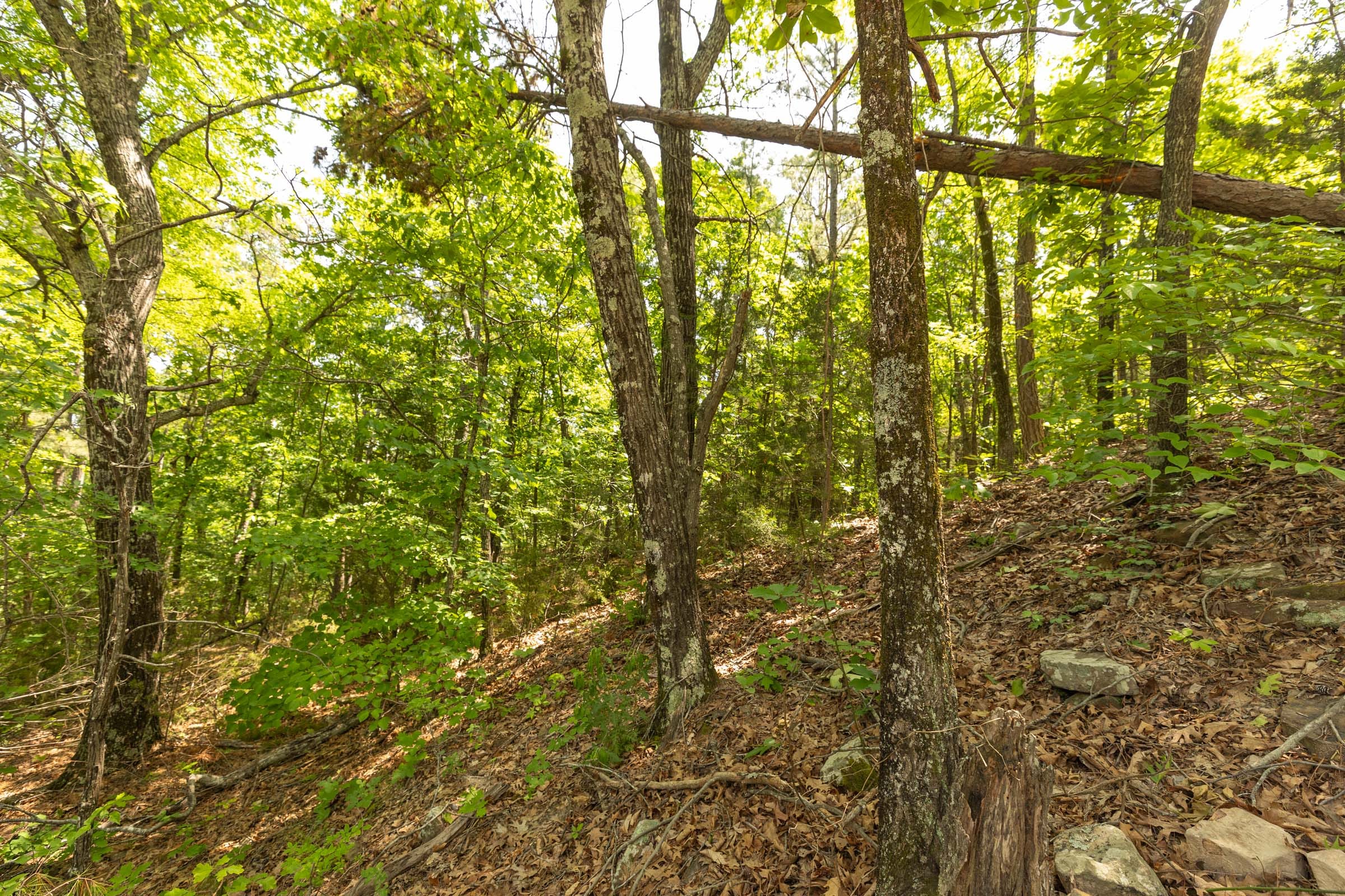 Stone Bridge Reserve Tract 35 photo 13