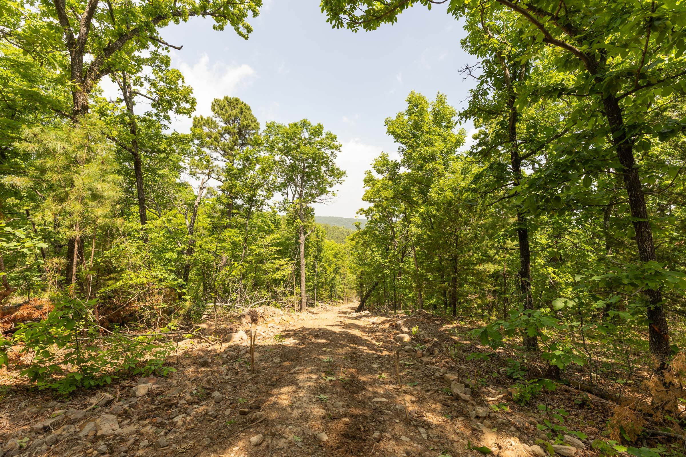Stone Bridge Reserve Tract 35 photo 12