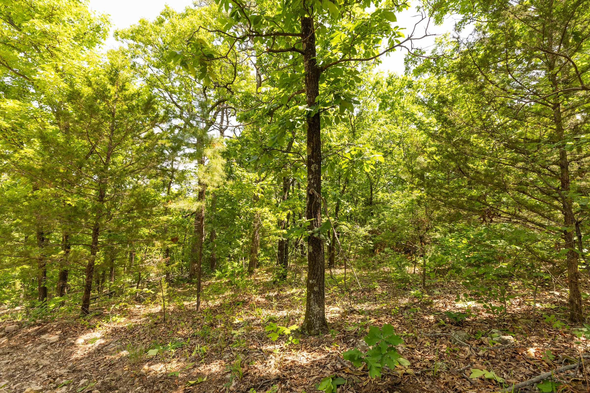Stone Bridge Reserve Tract 35 photo 11