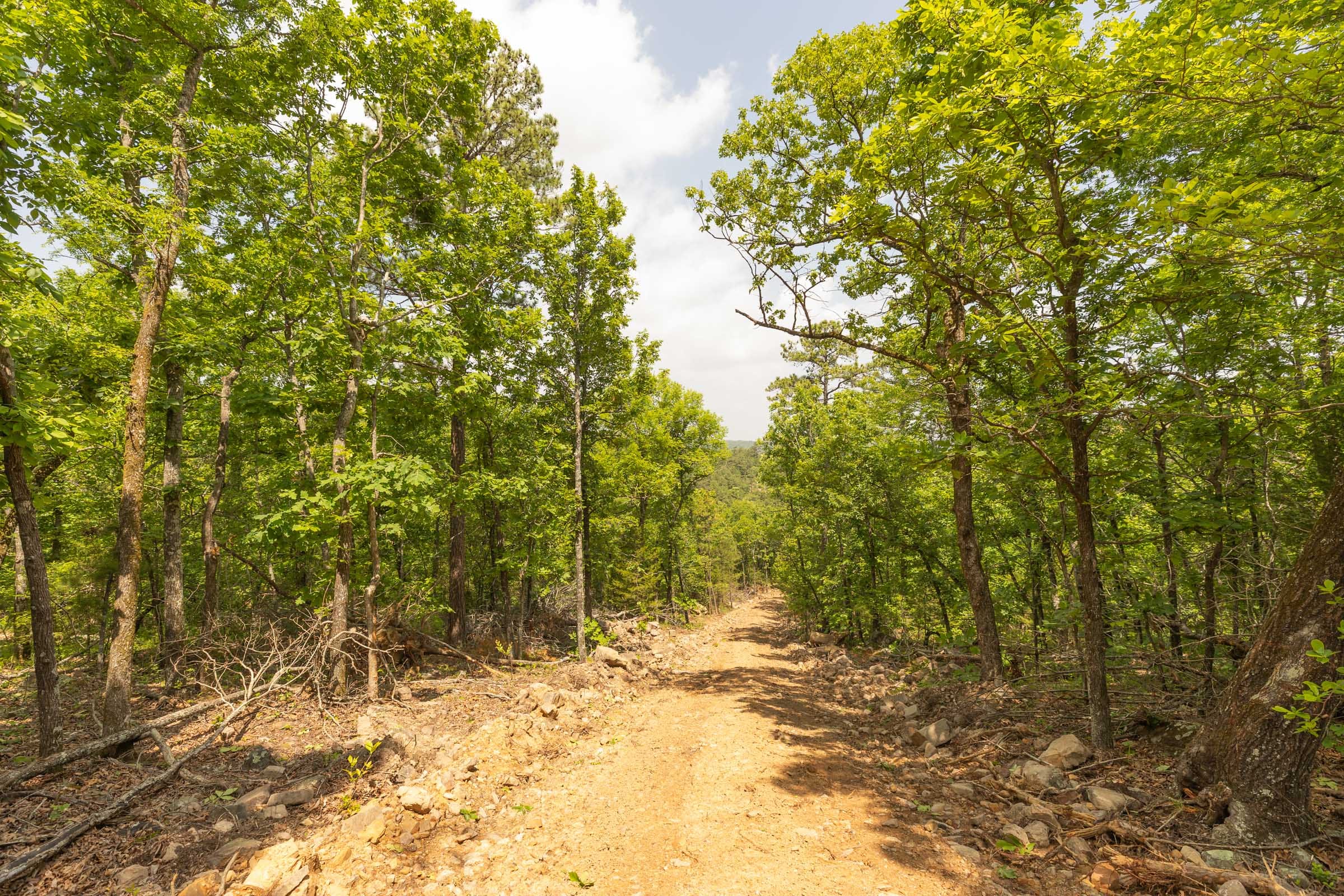 Stone Bridge Reserve Tract 35 photo 7