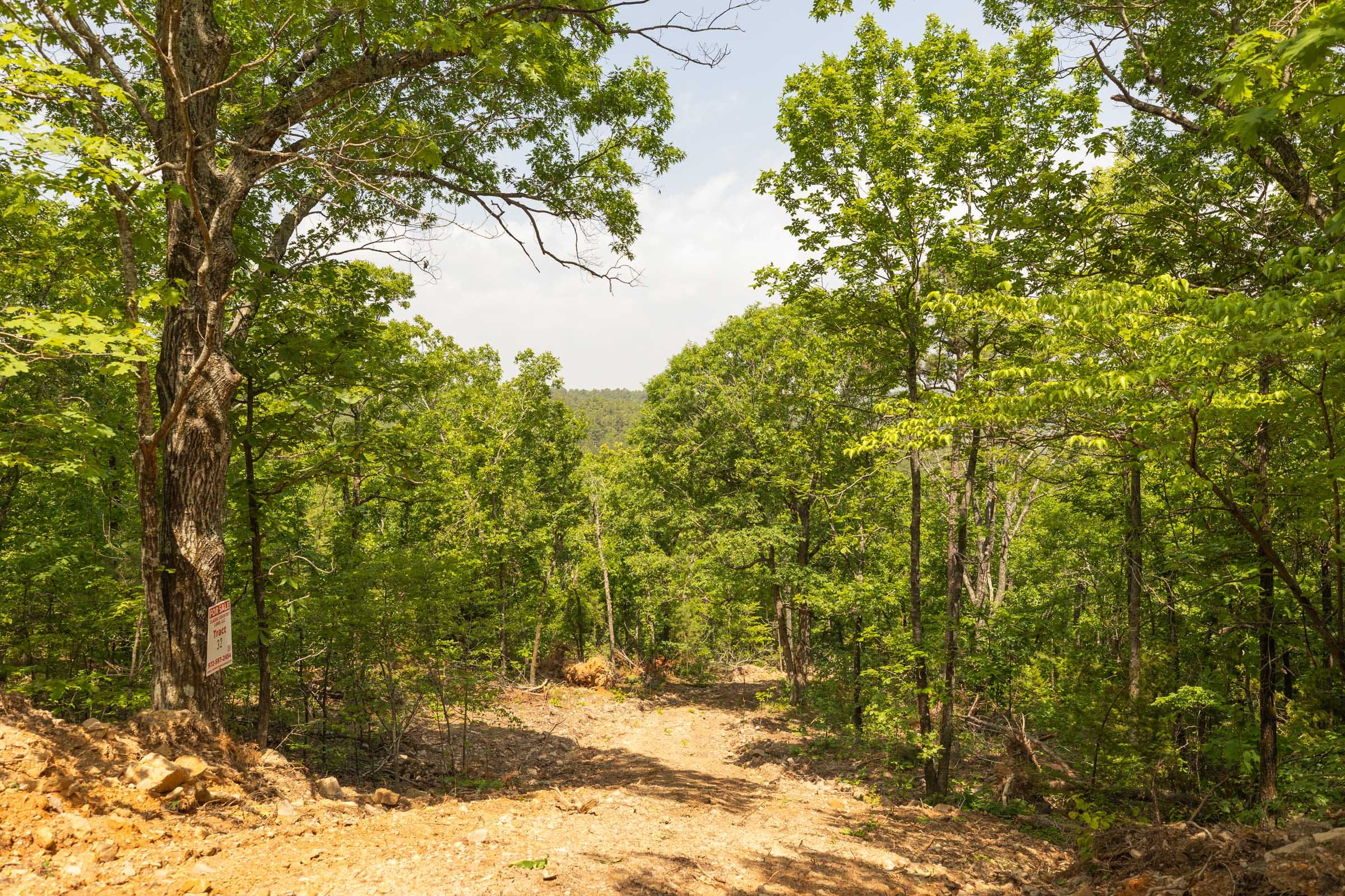 Stone Bridge Reserve Tract 35 photo 2