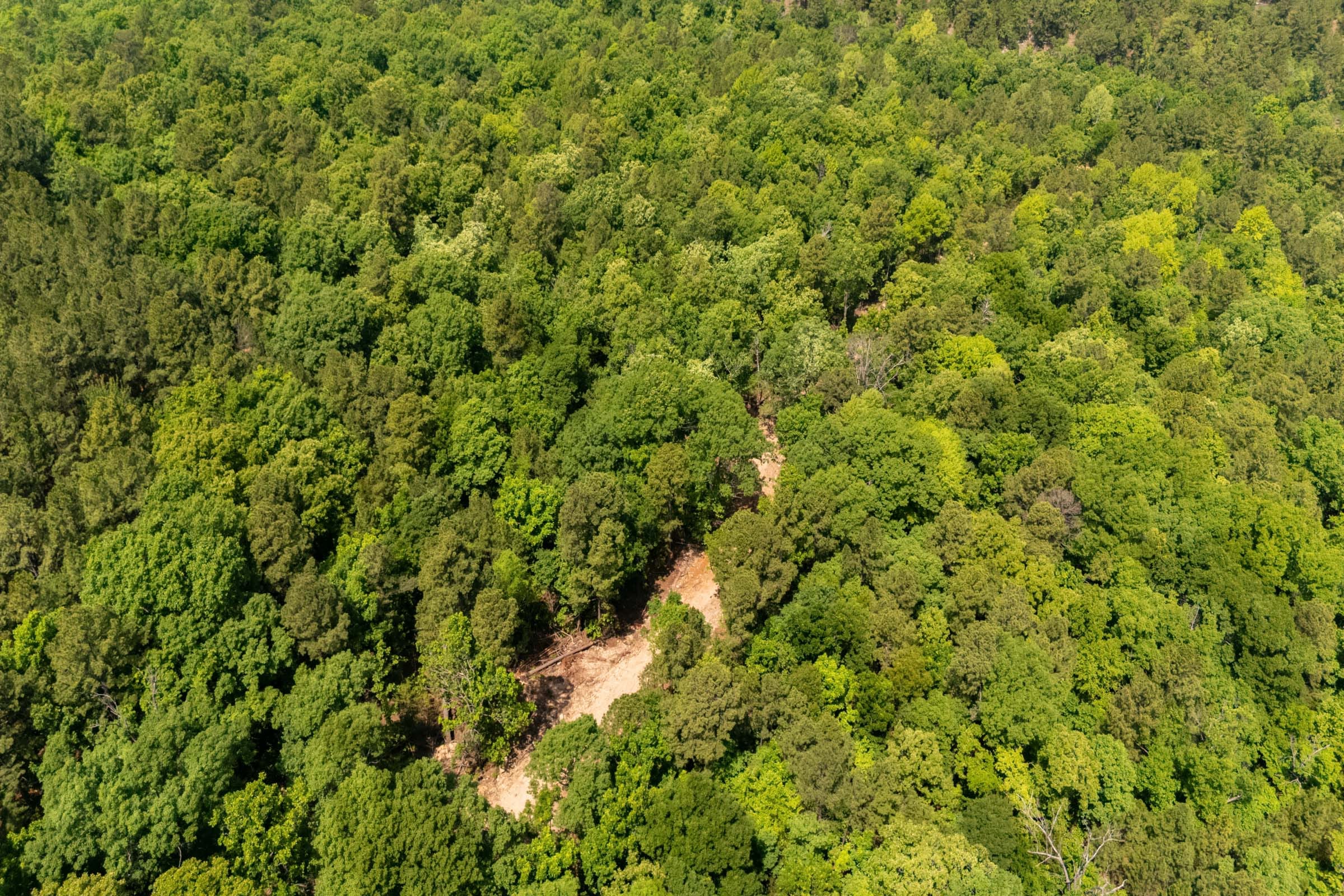 Stone Bridge Reserve Tract 35 photo 15