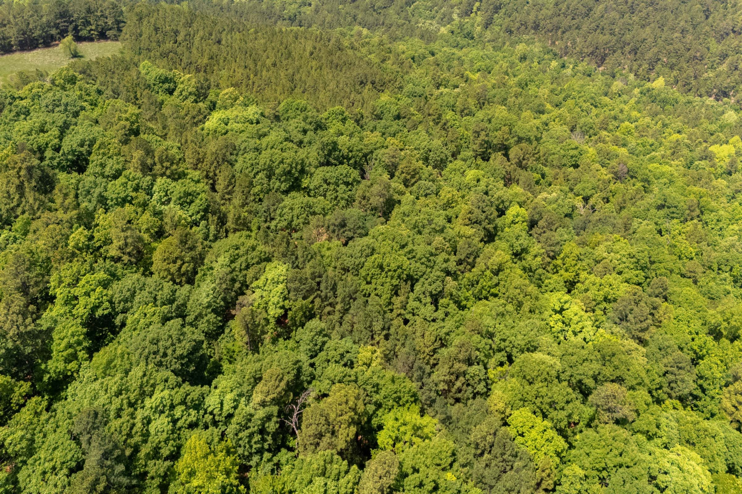 Stone Bridge Reserve Tract 35 photo 4