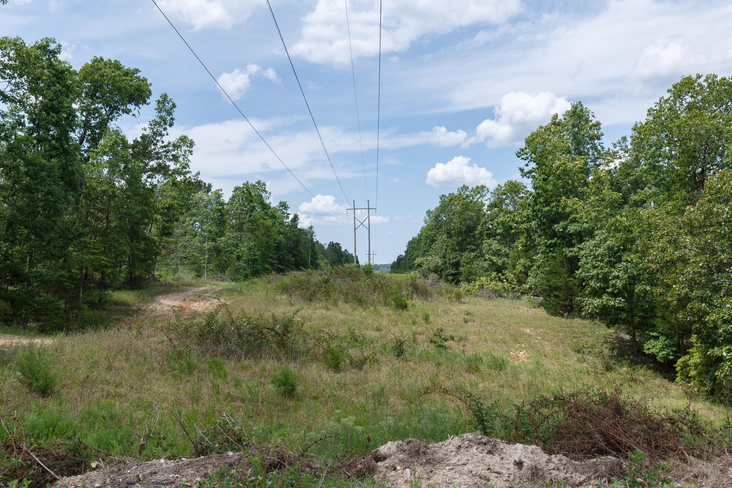 Wildwood Tract 13 photo 2