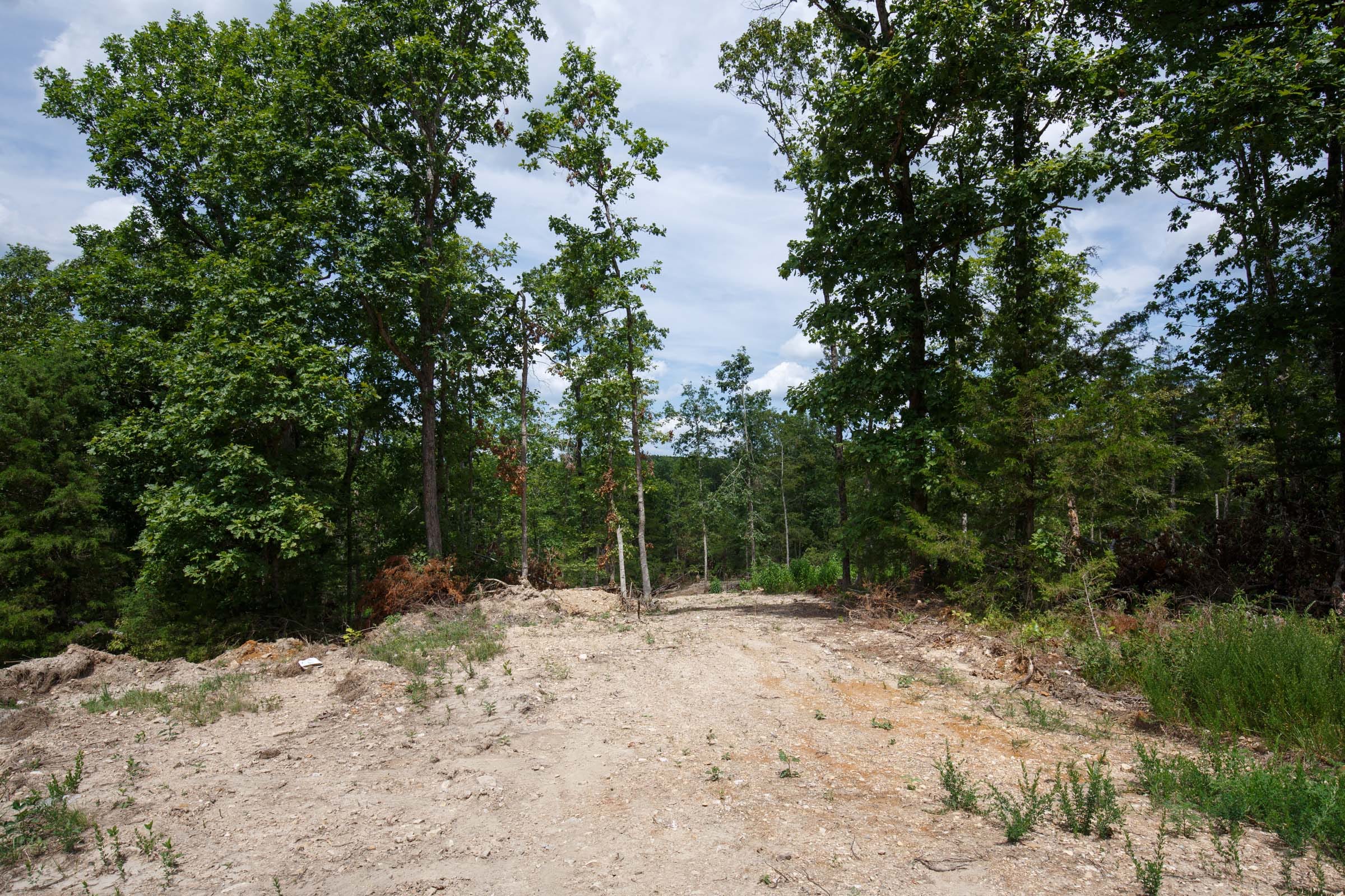 Wildwood Tract 13 photo 4